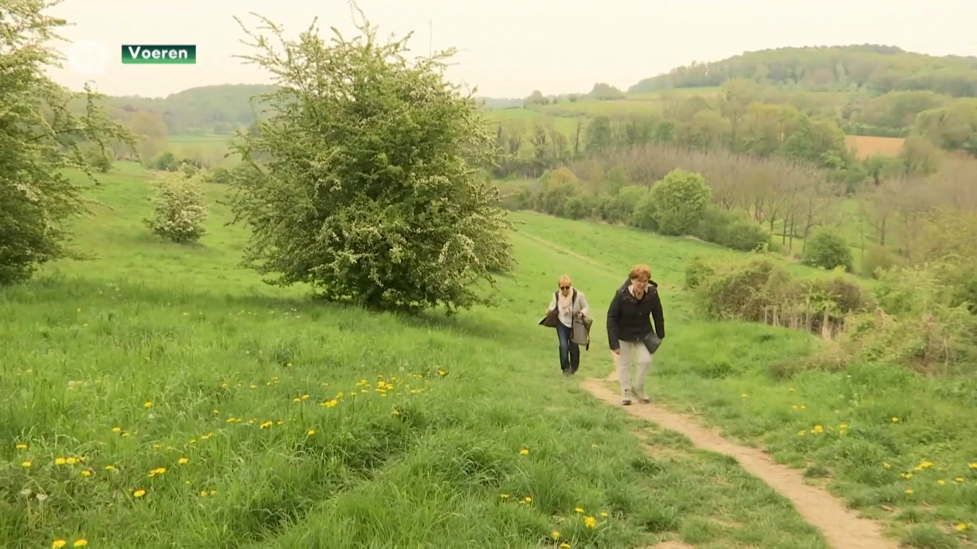 Voeren richt landschapsfonds op om streekidentiteit te versterken