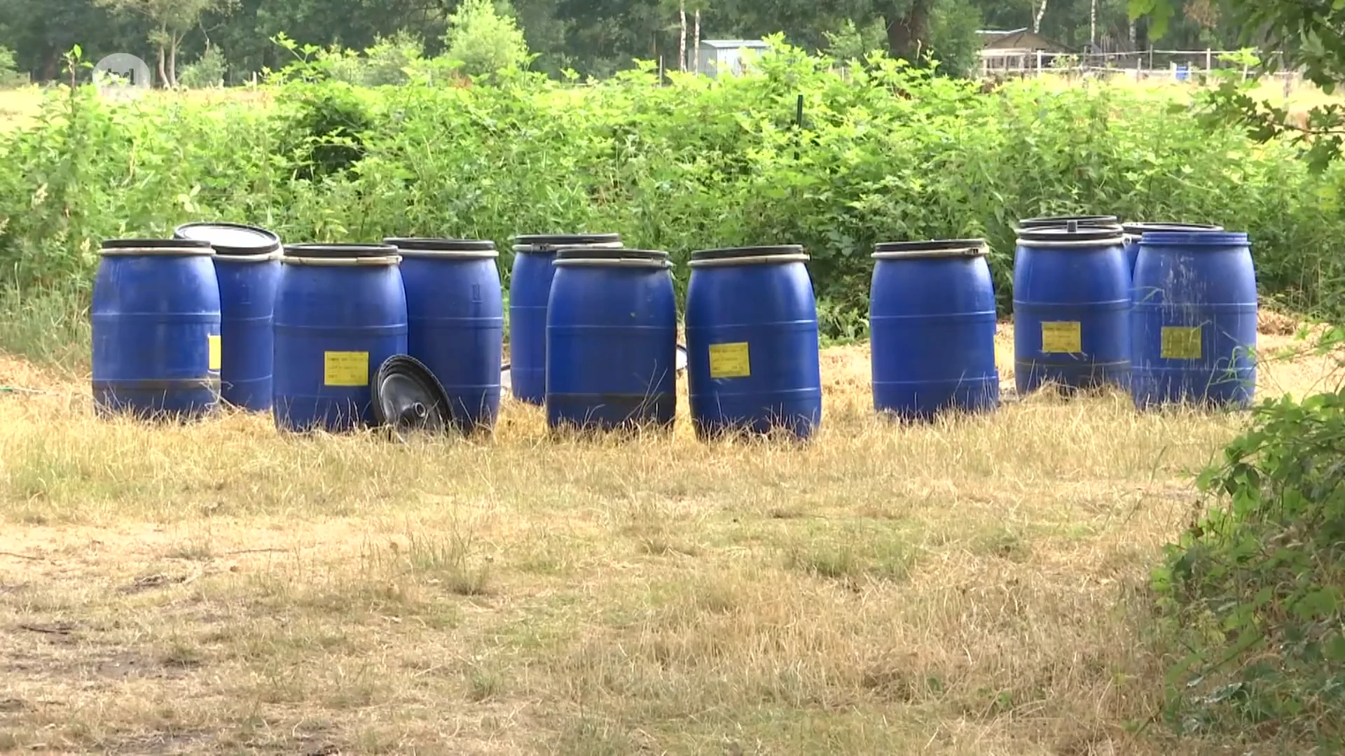 12 jaar cel voor crimineel drugsdumpende crimineel uit Kinrooi