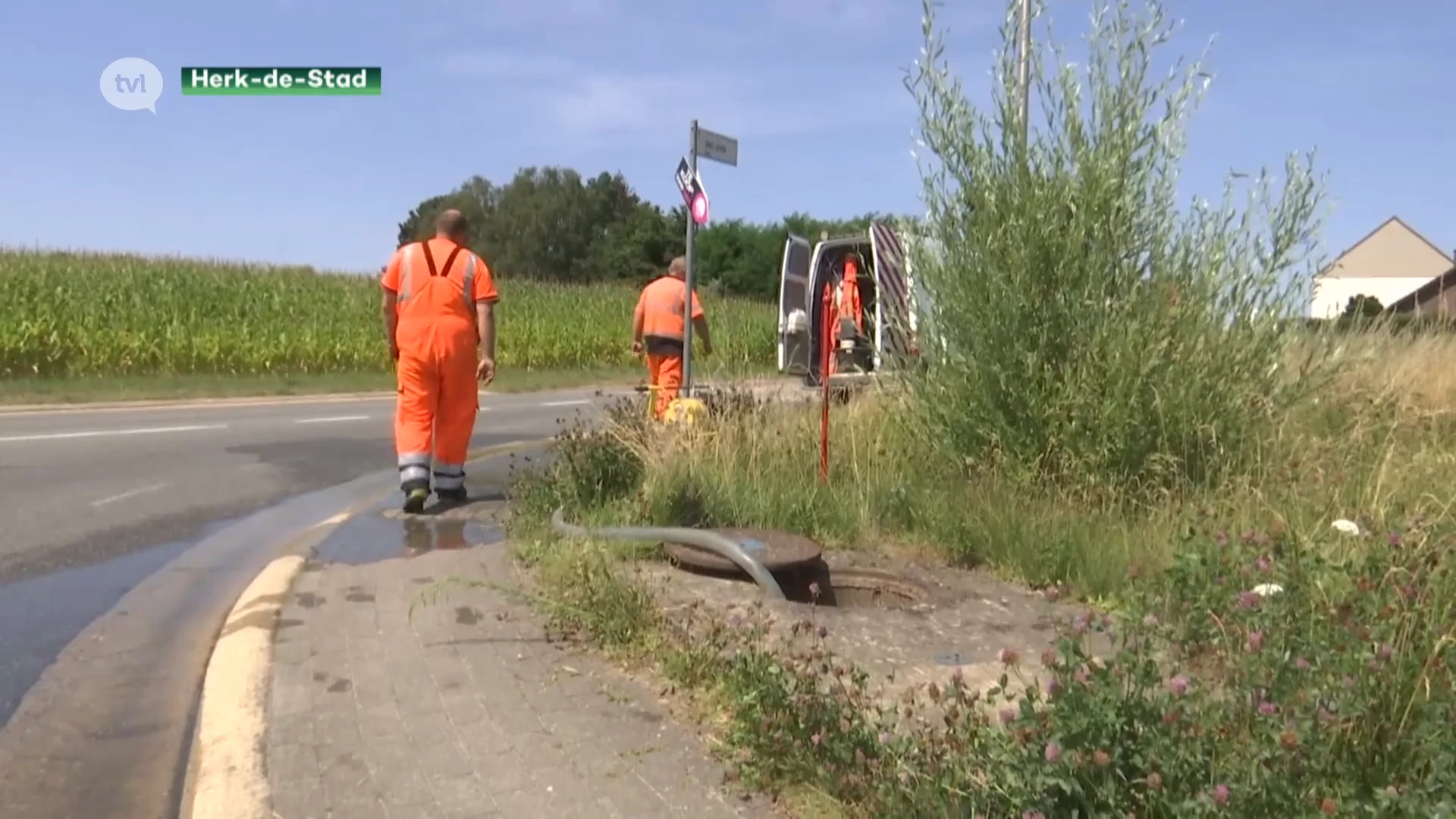 Watertekort door hitte in Herk-de-Stad en Halen (dat vorig jaar onder water stond)