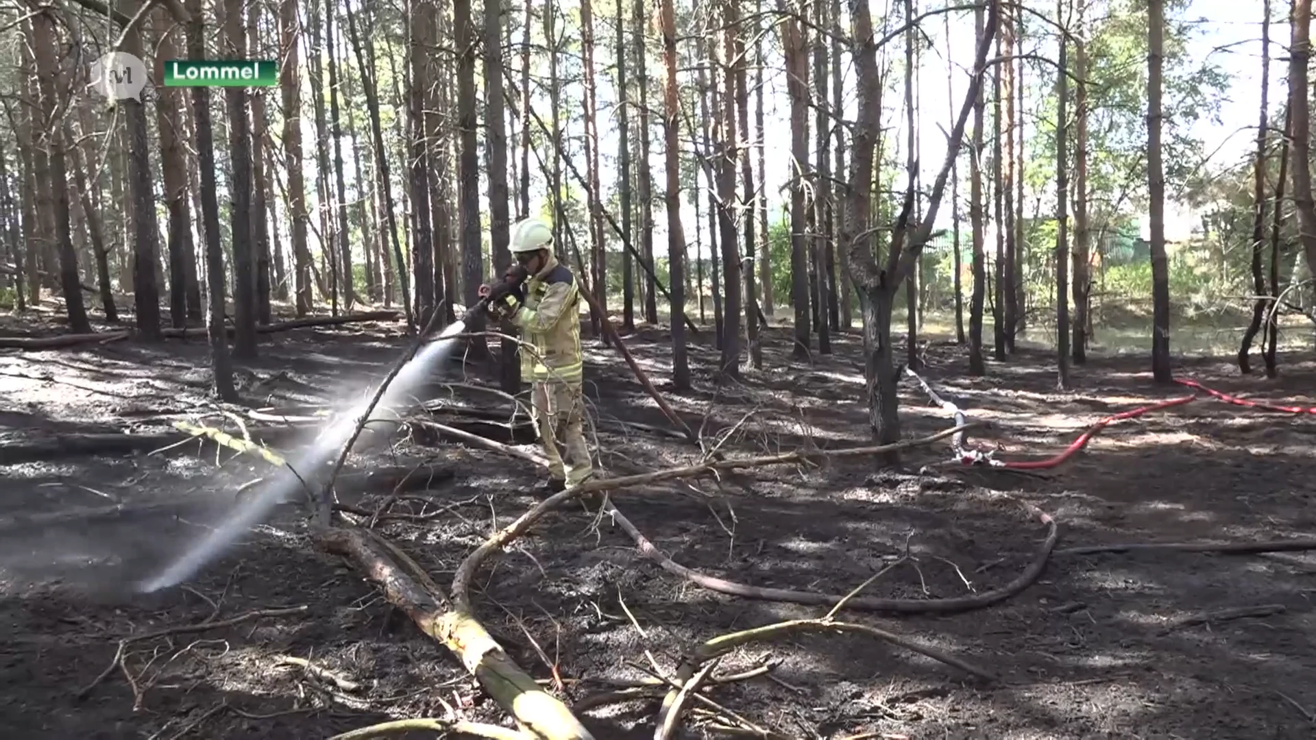 15 keer meer natuurbranden dan vorig jaar in Noord-Limburg: brandweer vraagt voorzichtig te zijn