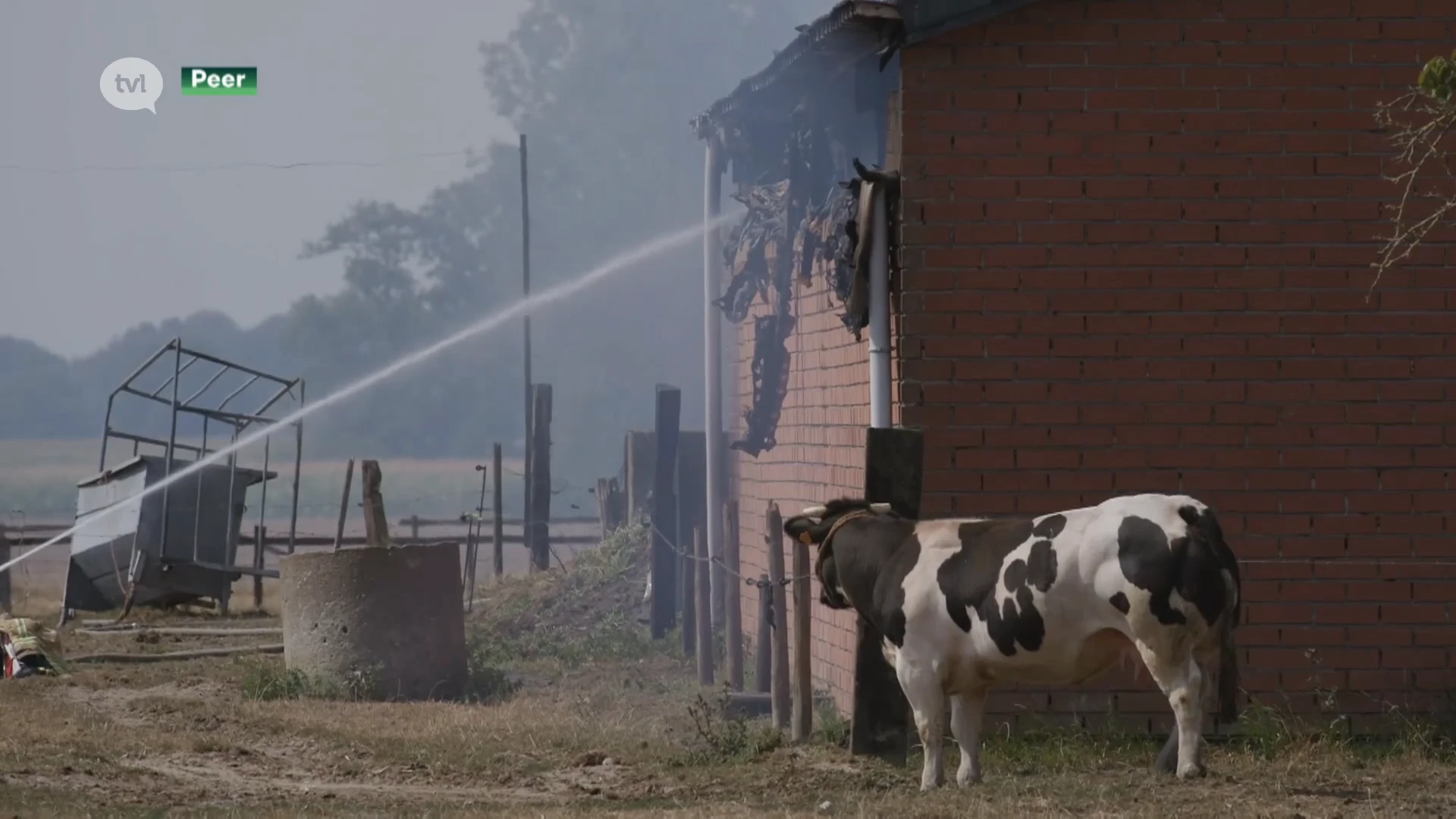 Zware boerderijbrand in Peer