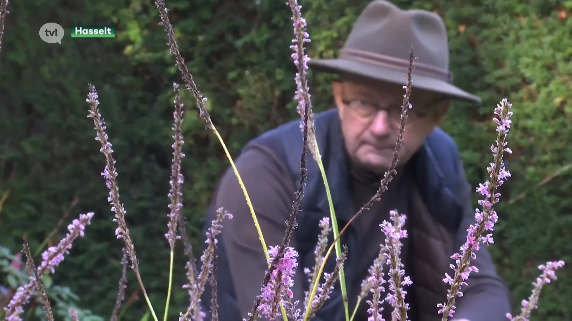 Het regent nog lang niet genoeg: dit moet u doen in uw tuin