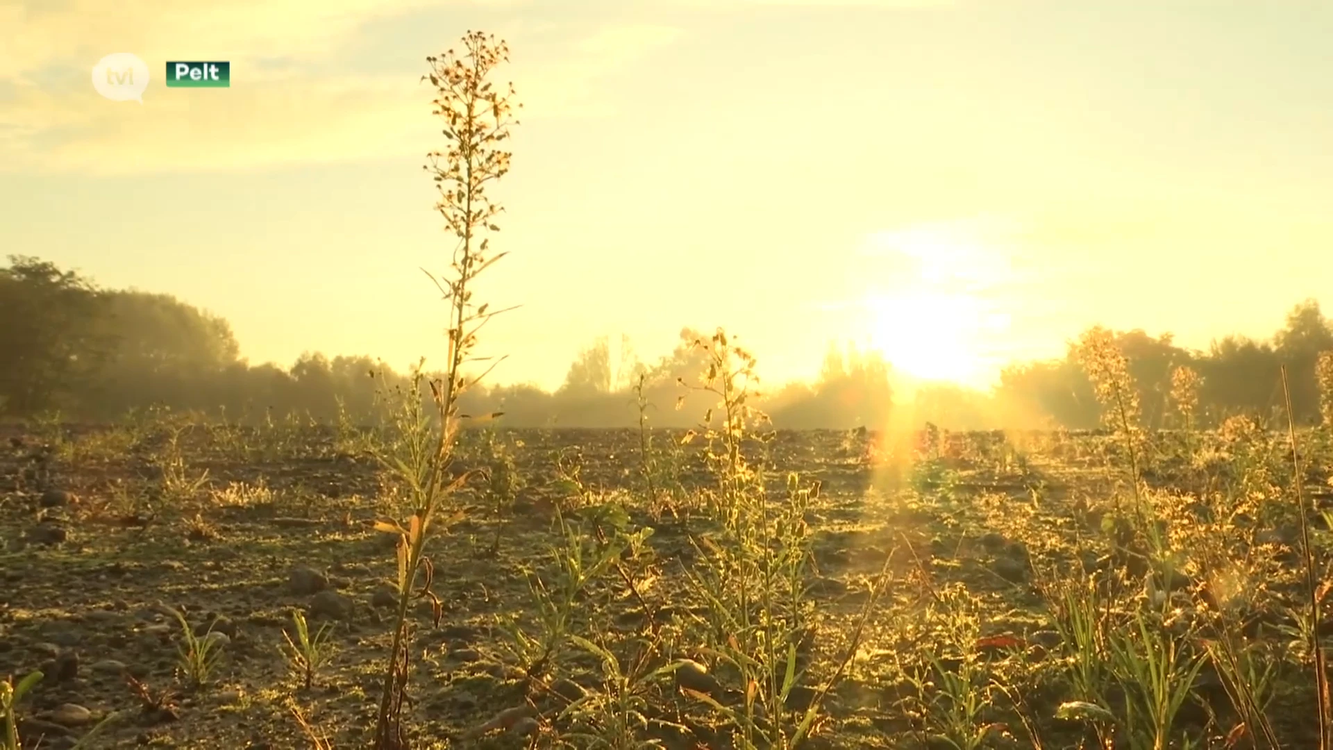Campus Noord wordt de Corda Campus van Noord-Limburg