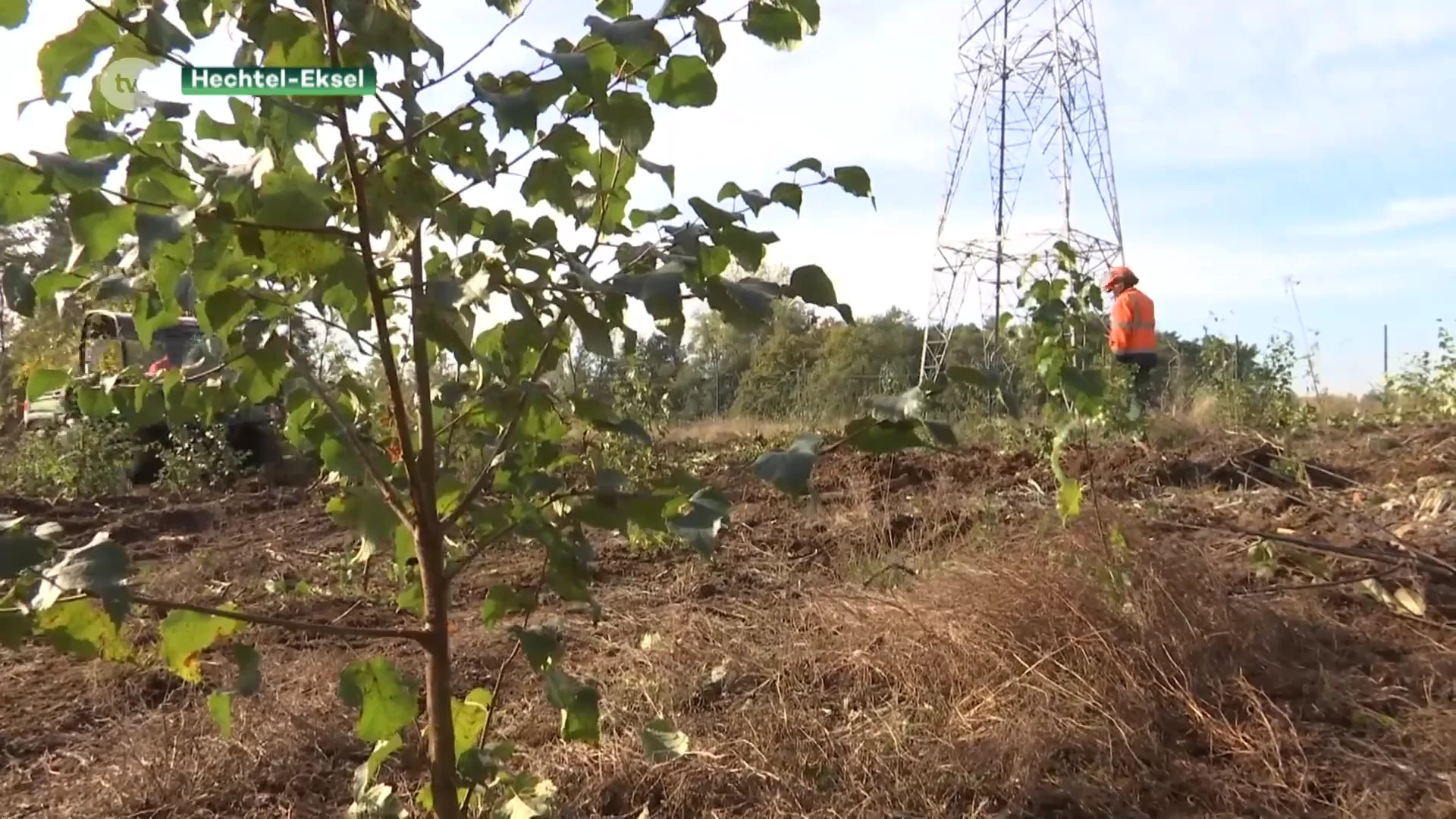 Elia start met natuurbeheer onder hoogspanningskabels