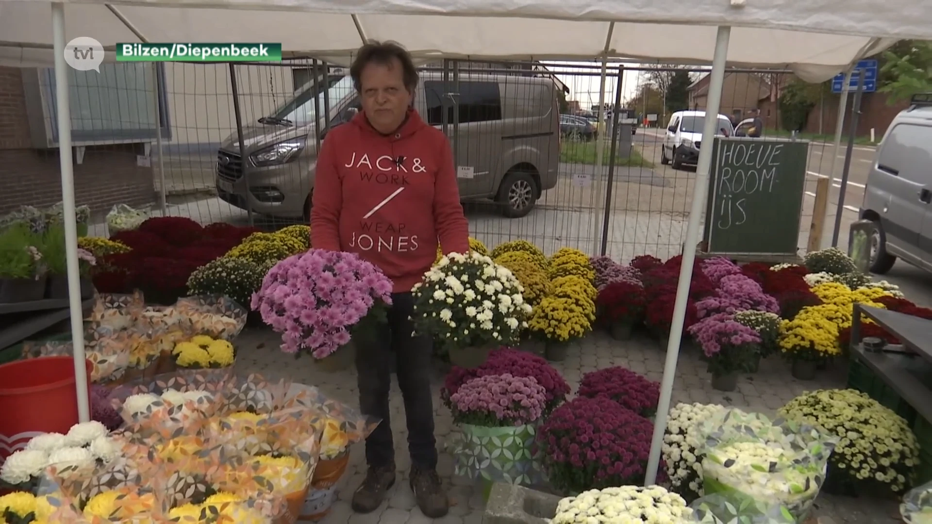 "Supermarkten verkopen chrysanten aan dumpingprijzen"