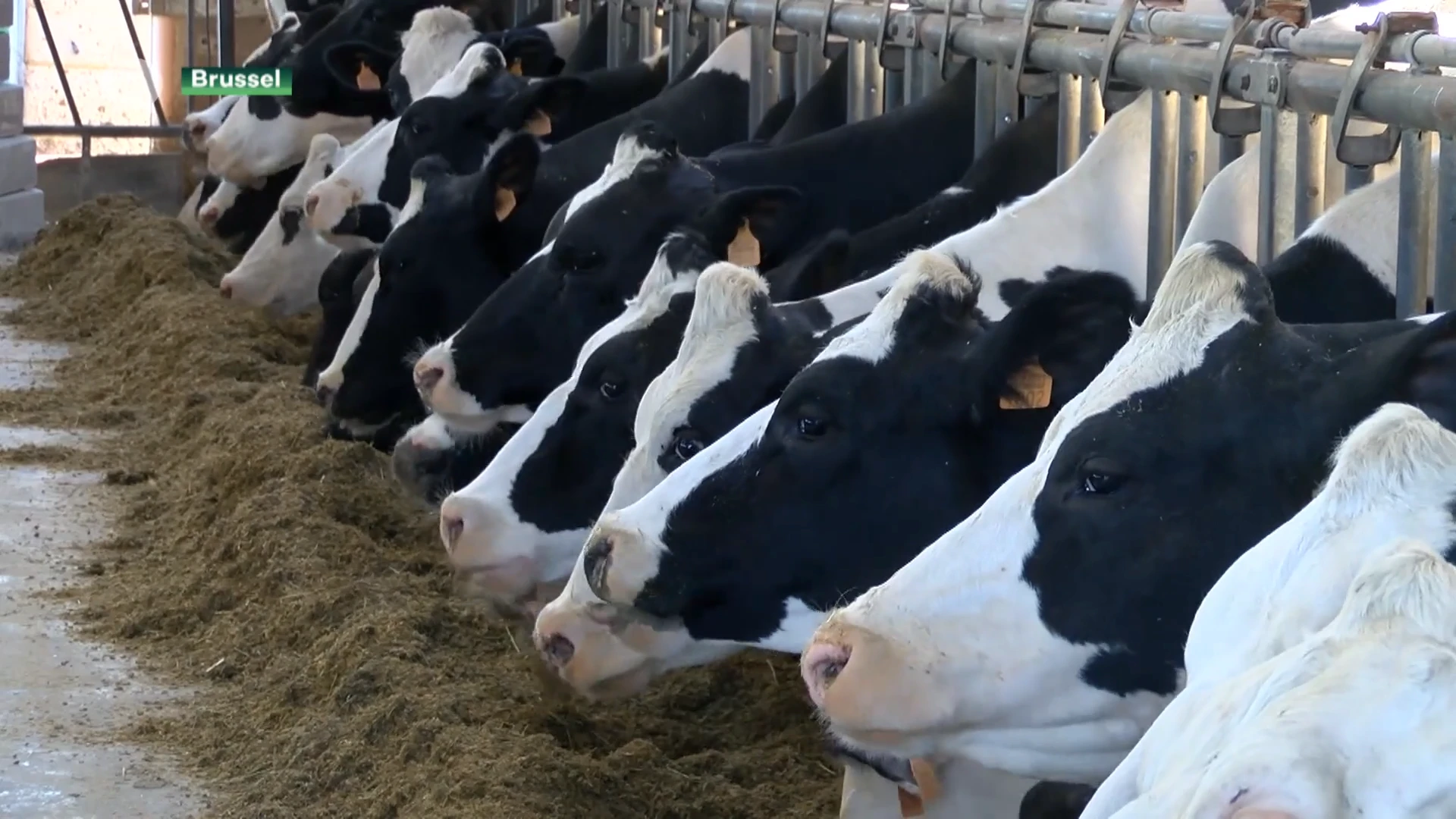 1,6 miljard voor verduurzamen Vlaamse landbouw