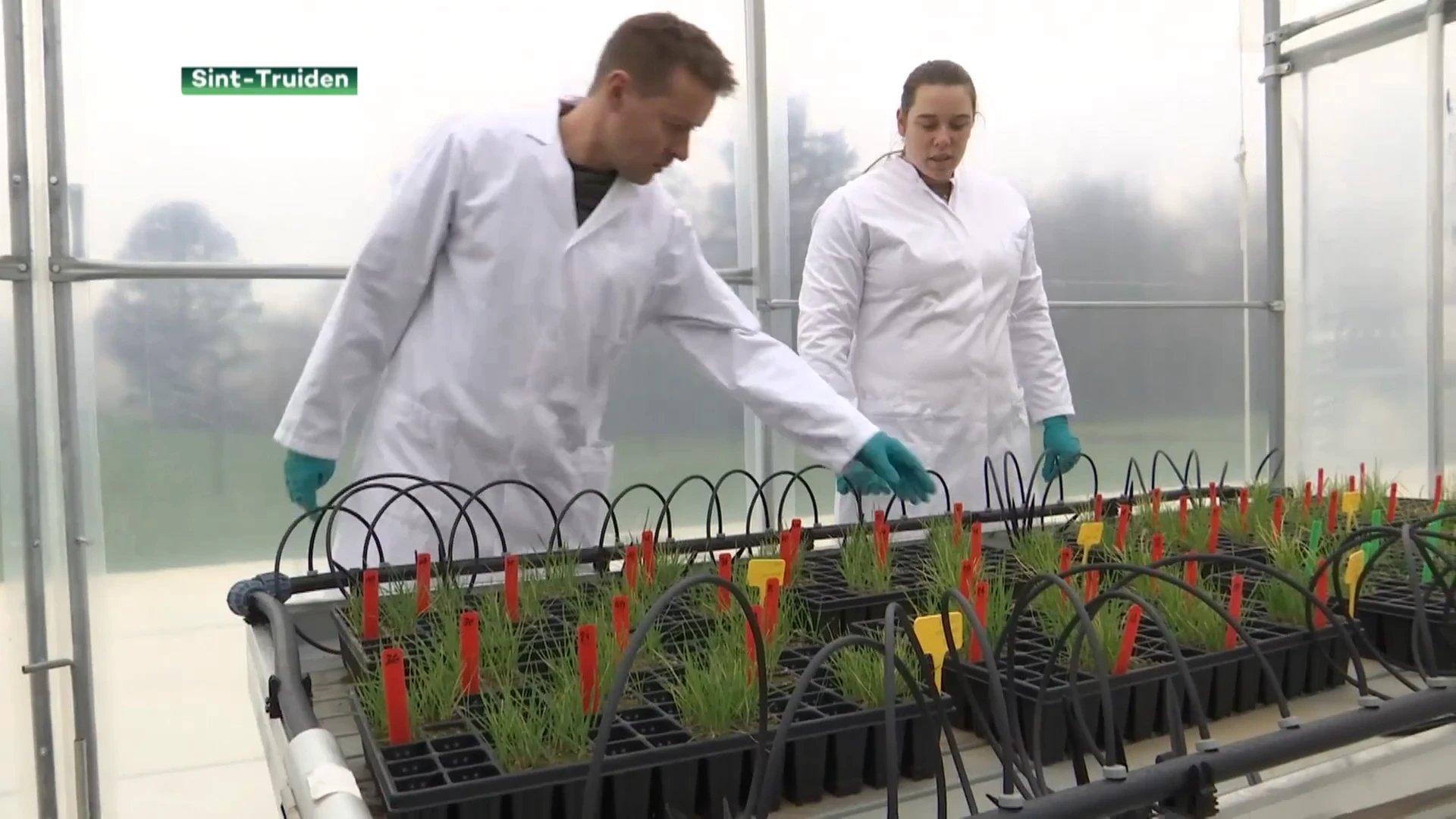 Truiens bedrijf Globachem blijft groeien en verdubbelt zijn kantooroppervlakte