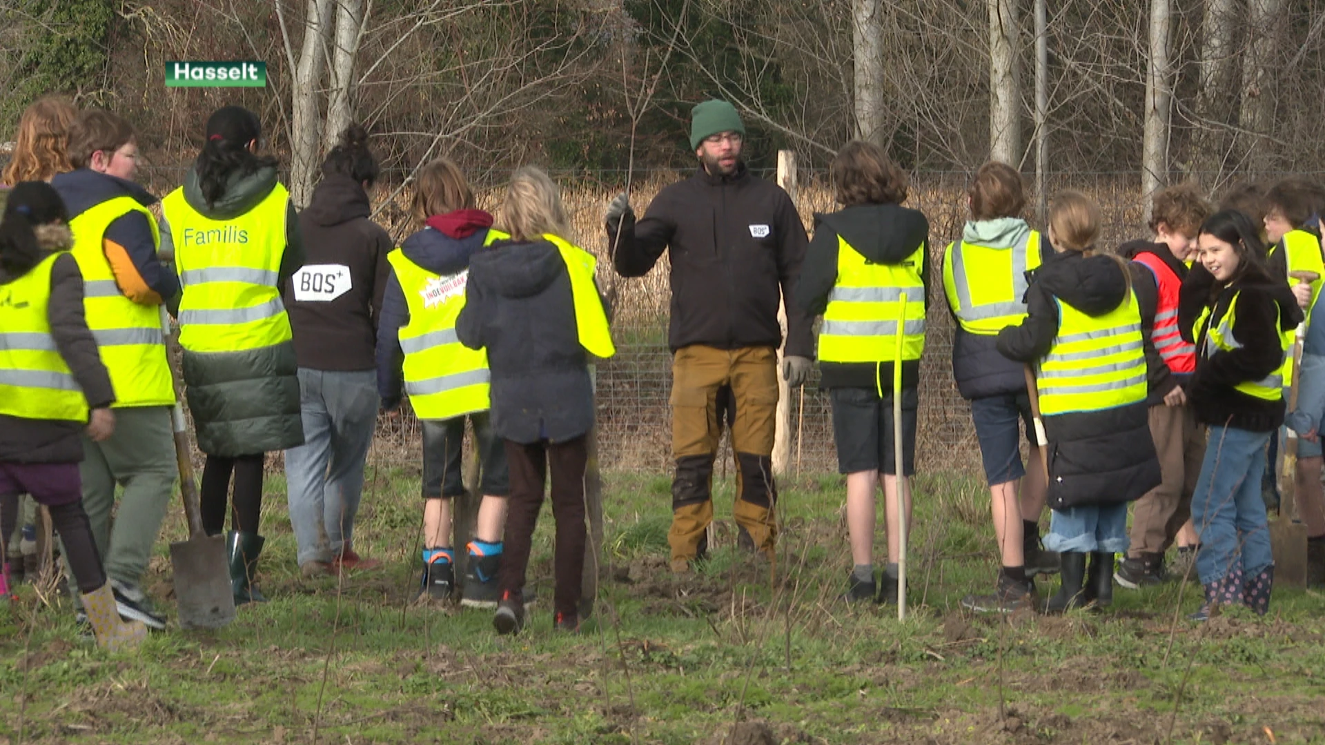 Limburg.net plant 100 hectare bos in Limburg