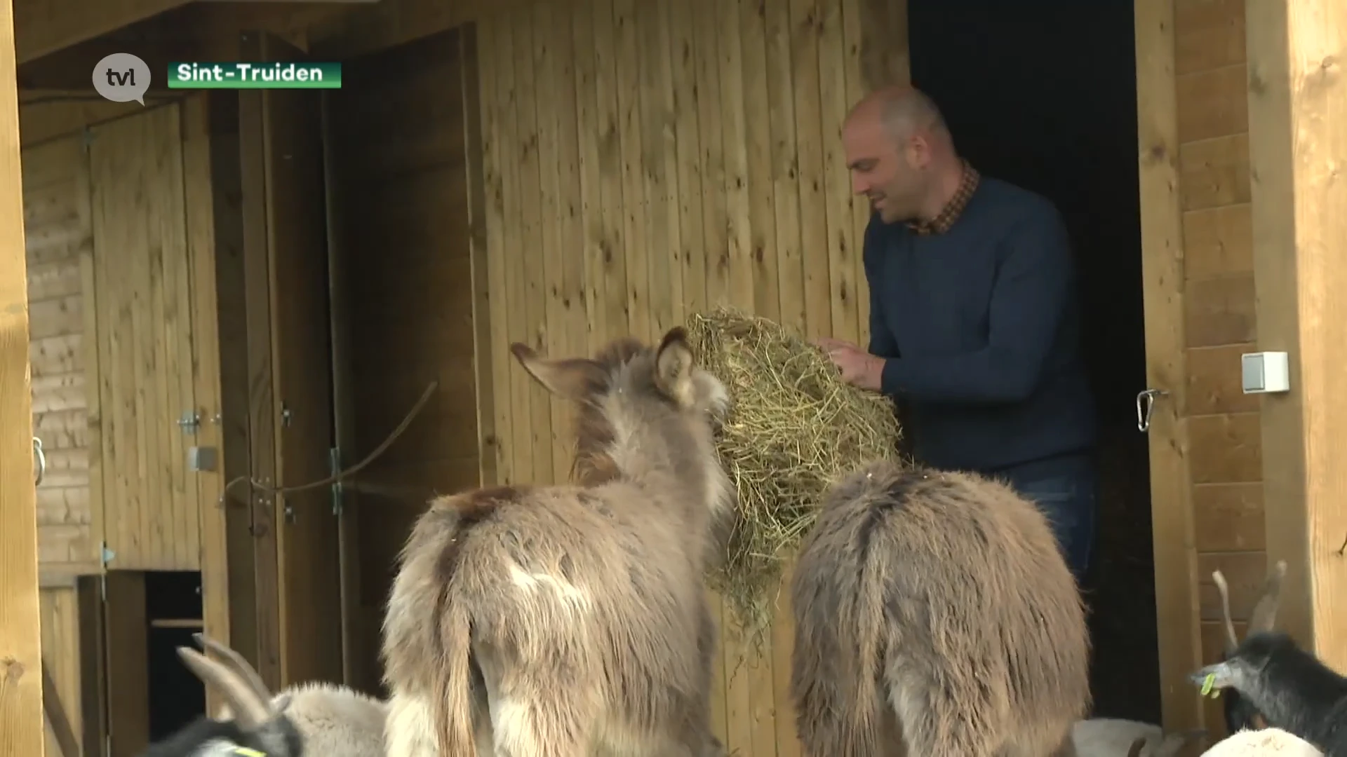 Afscheid van Jelle Engelbosch: 'In Sint-Truiden wordt de politiek hard gespeeld'