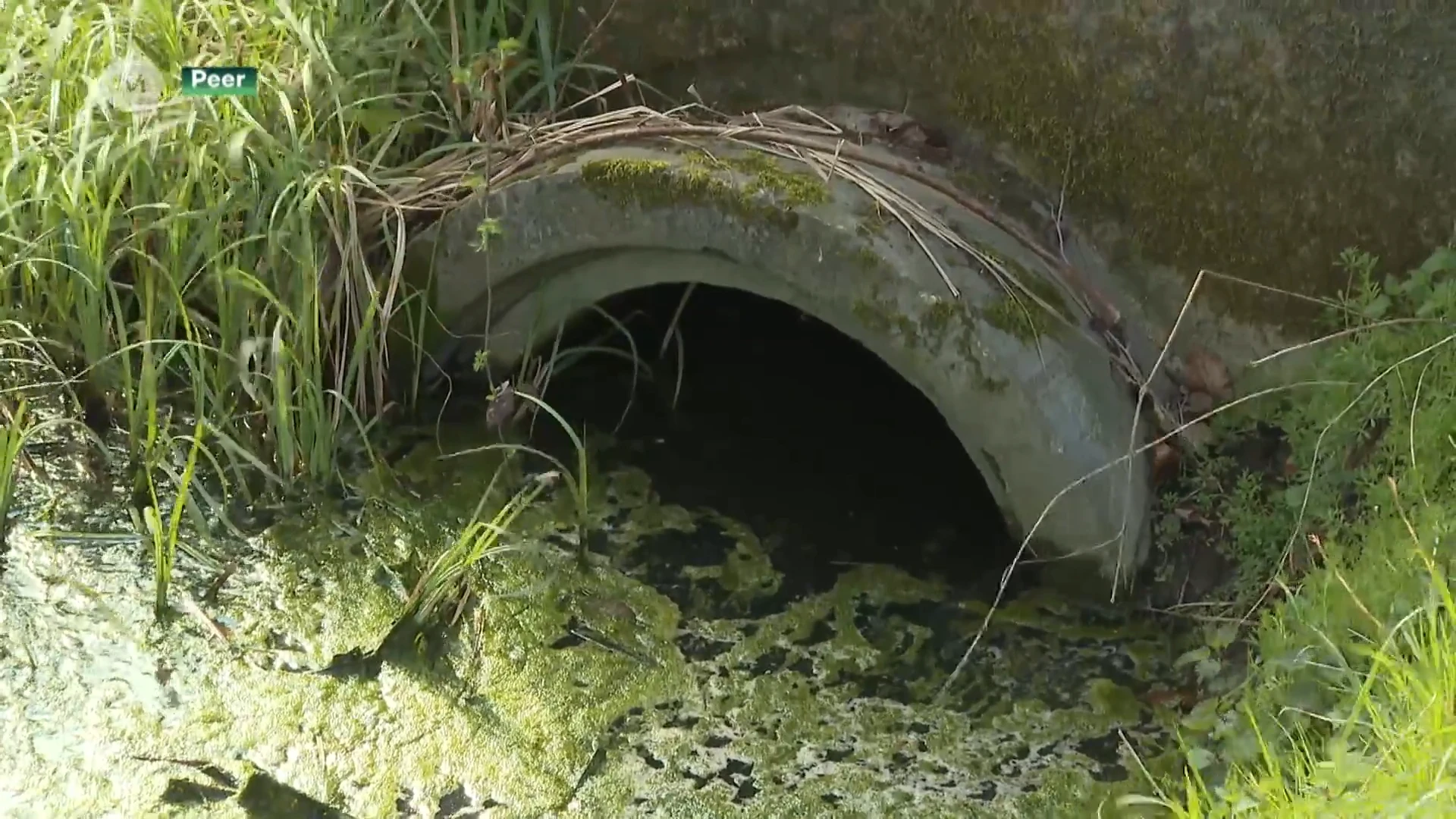 Organisatie Drinkable Rivers wil het water uit de Dommel tegen 2050 terug drinkbaar maken