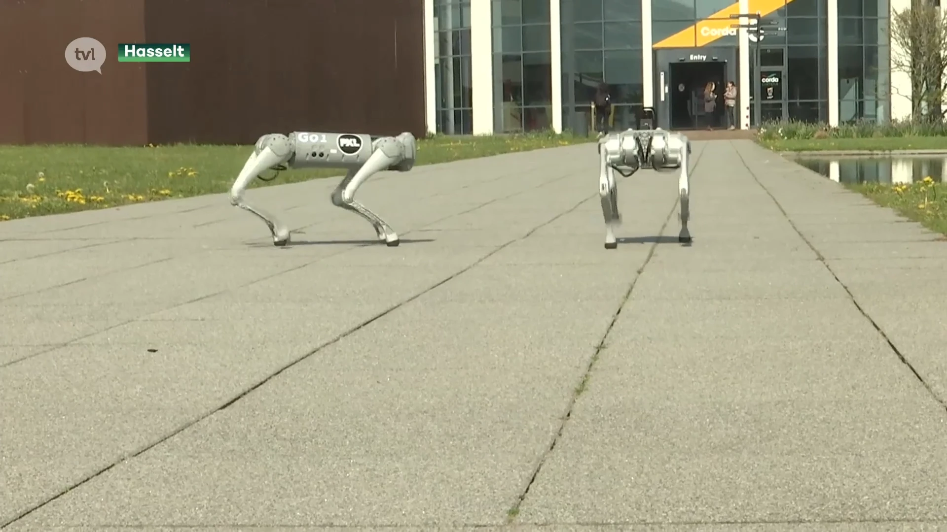 Robothonden gidsen bezoekers door Corda campus