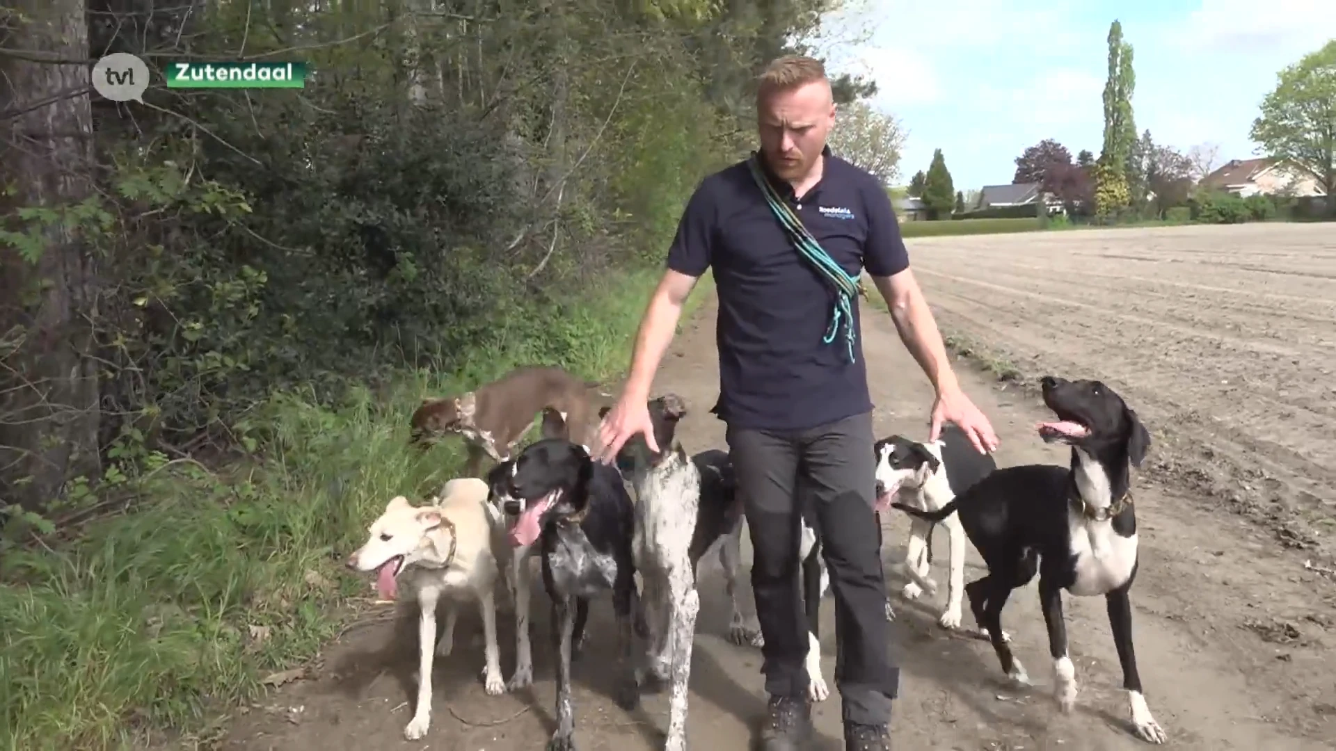 Zo leer je natuurlijk leidinggeven aan je hond
