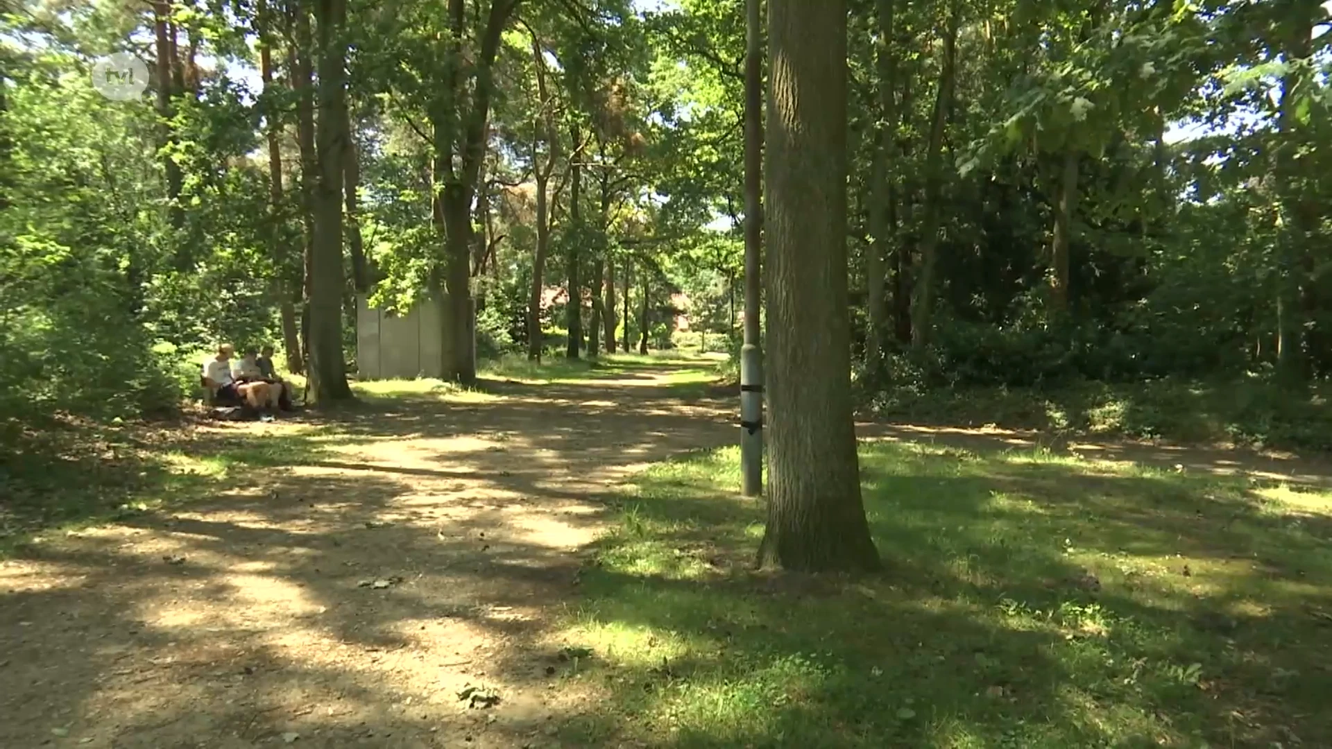 Code geel voor onweersbuien die vooral zondag pittig beloven te worden