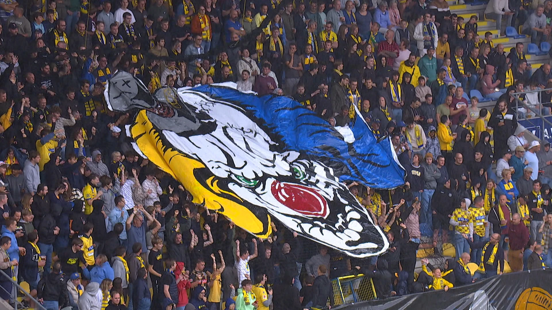 STVV begint jubileumseizoen met zege tegen Standard