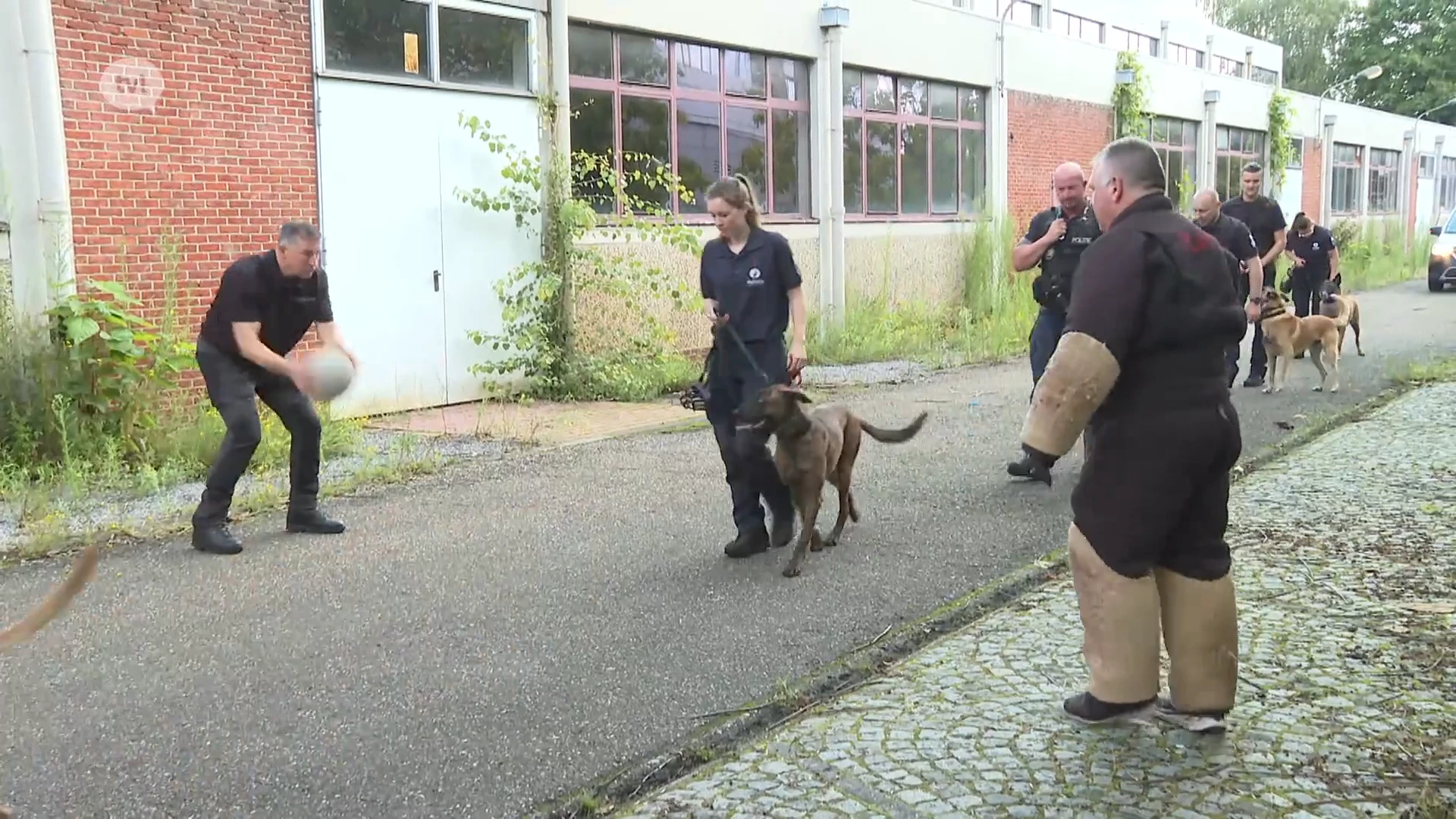 Hondenteams politie oefenen in leegstand pand van VDAB in Hasselt