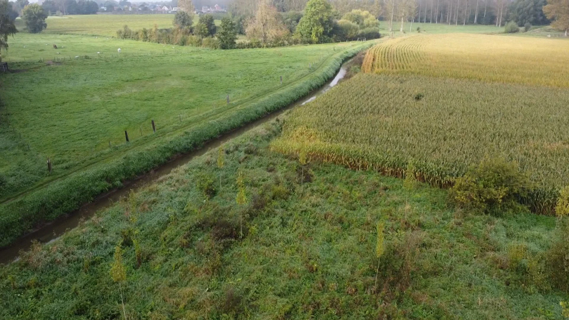 Rivier Kleine Herk vervuild tussen Wellen en Alken, oorzaak nog onbekend