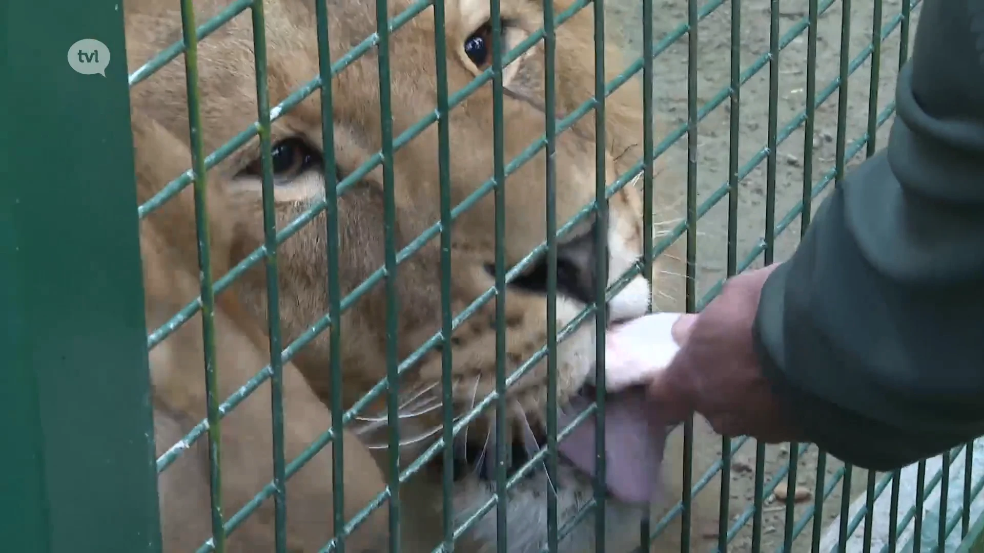 Steeds meer mensen nemen Natuurhulpcentrum op in testament