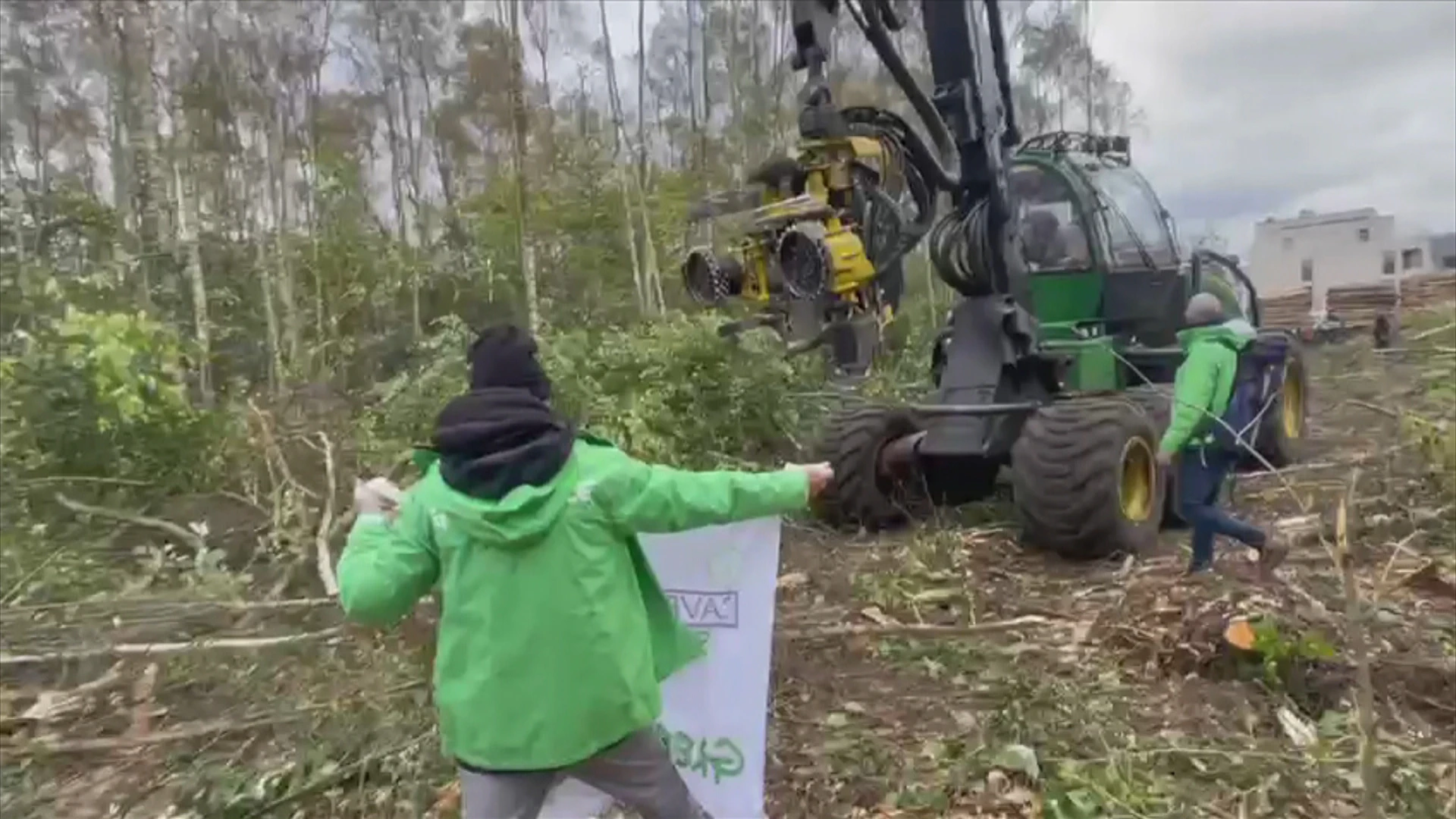 Buurtbewoners spannen nieuwe procedure aan nadat bomen in Tessenderlo gekapt zijn