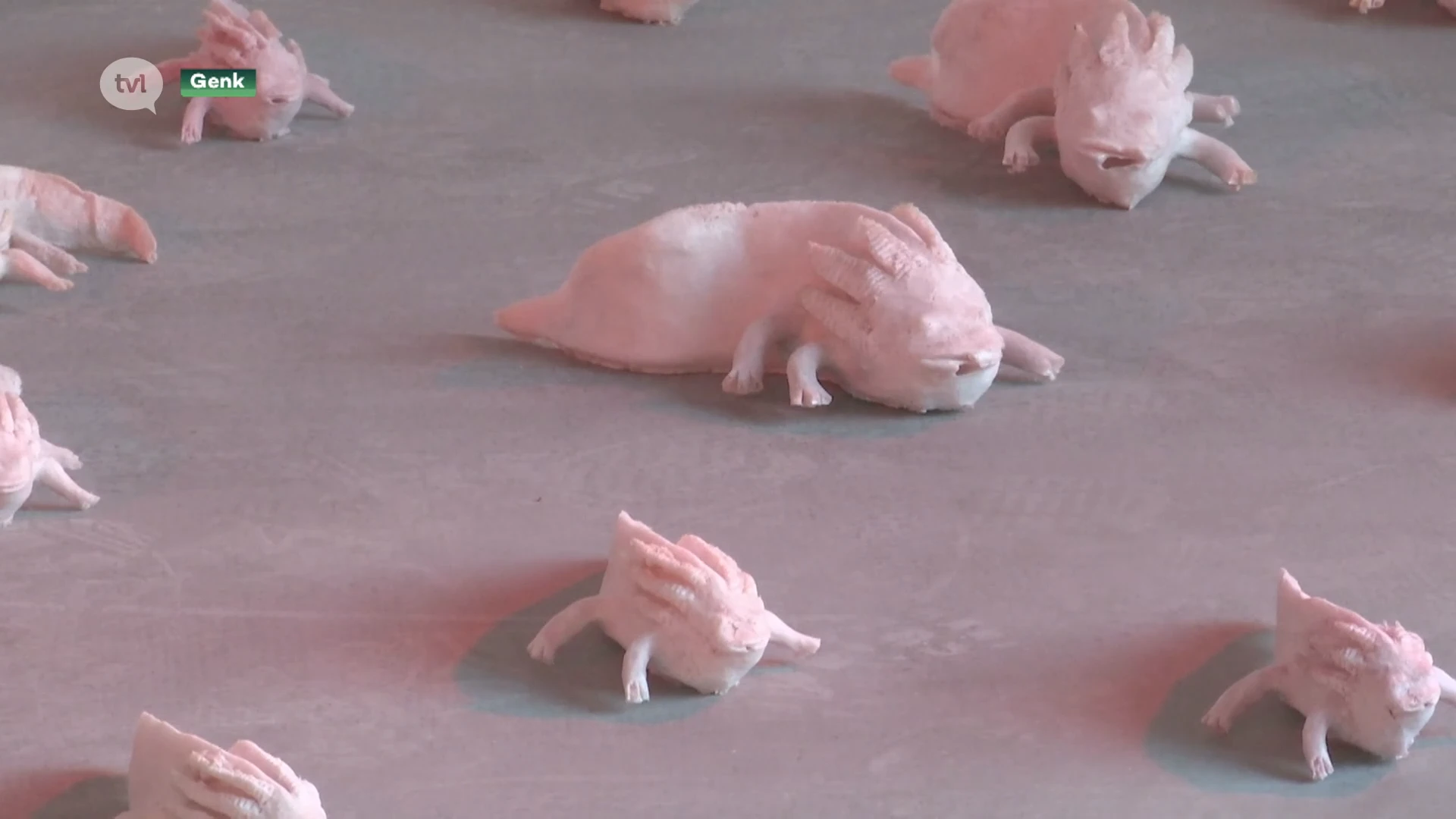 Kunstenaars wonen, creëren en exposeren in nieuw kunstencentrum Genk