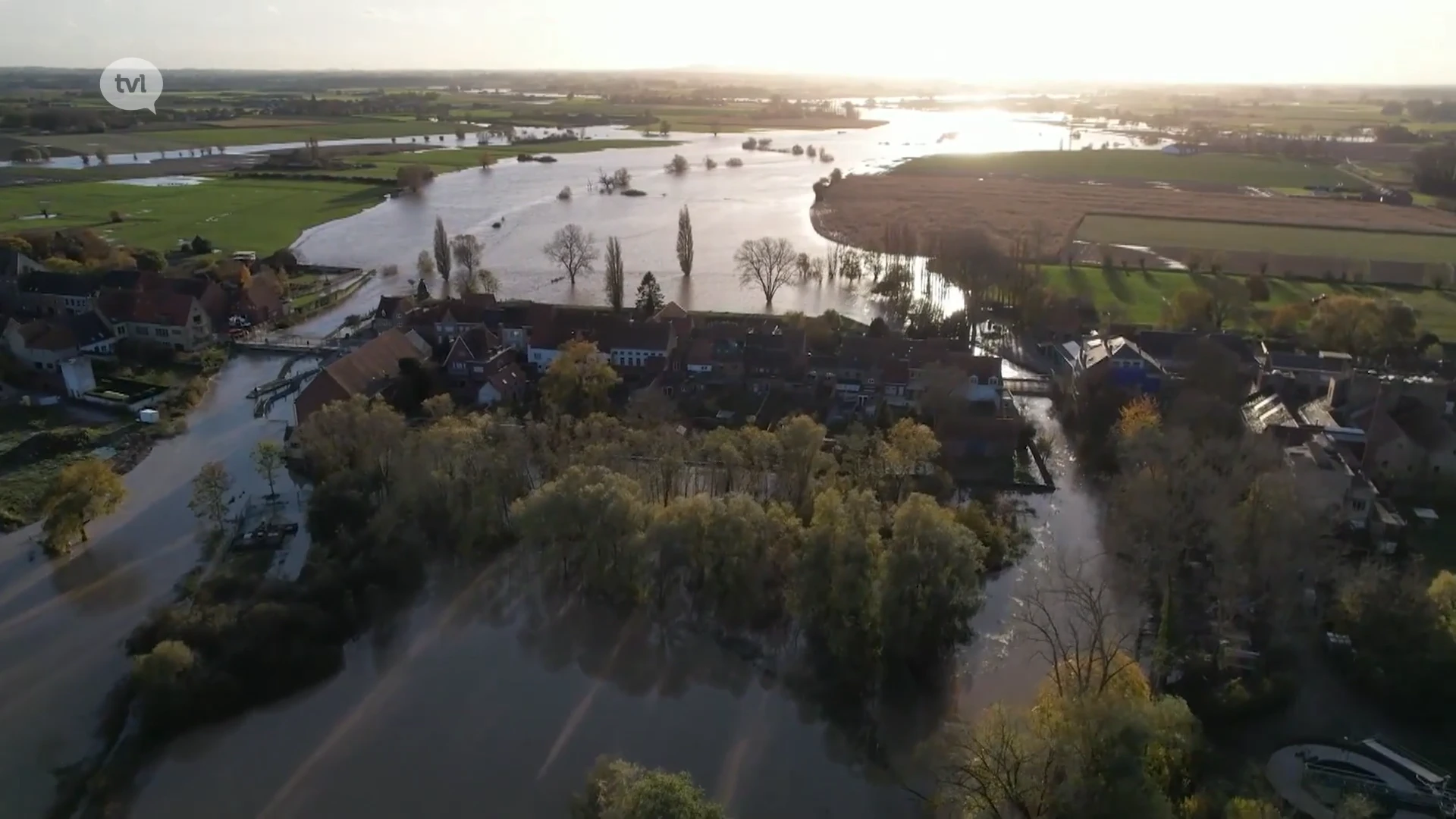 Natte herfstperiode doet vraag naar groendaken stijgen