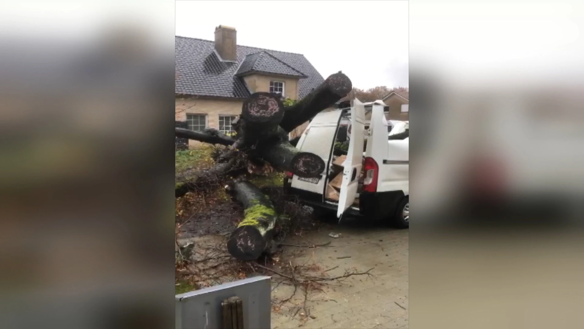 Boom valt op bestelwagen in Ham
