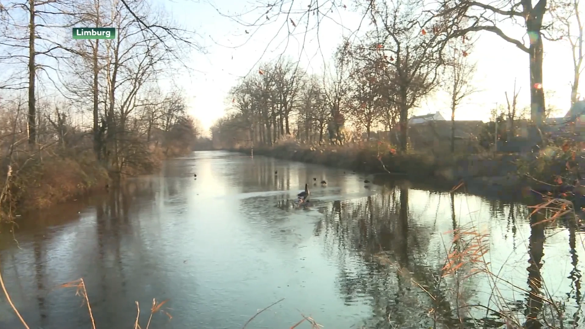 Schaatsen op natuurijs verboden na metingen in Limburg: "Levensgevaarlijk"
