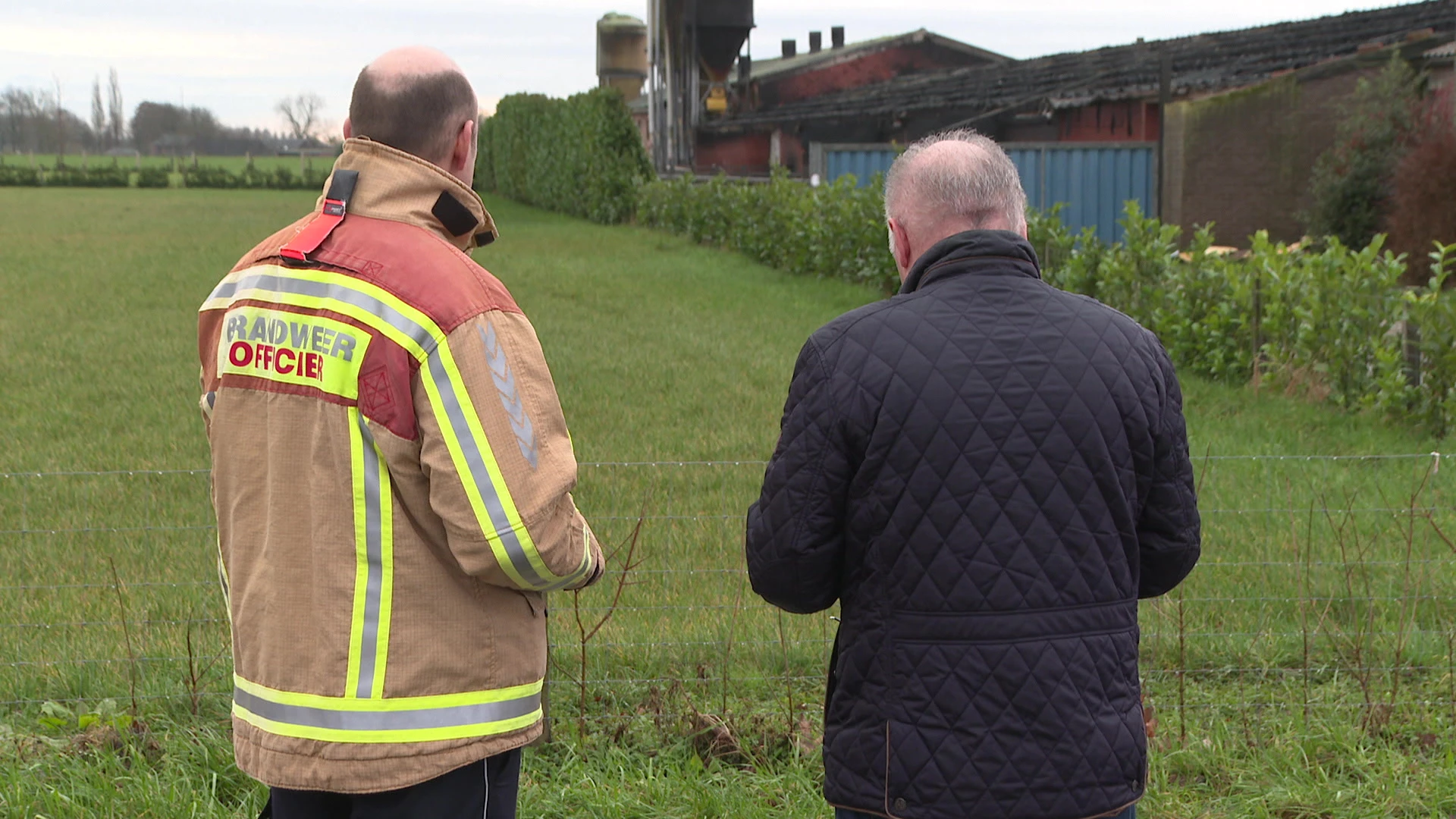 300 varkens komen om bij stalbrand in Bocholt
