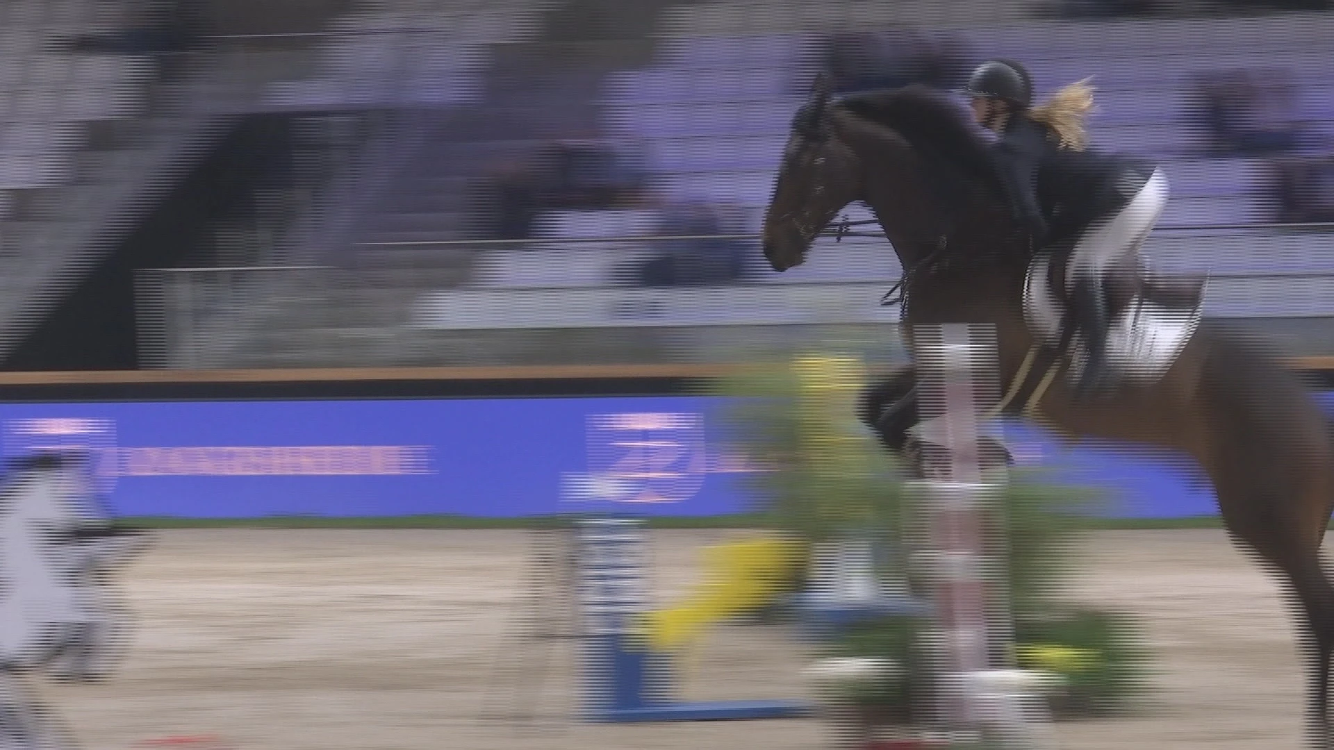 Tweede editie Zangersheide International in Oudsbergen