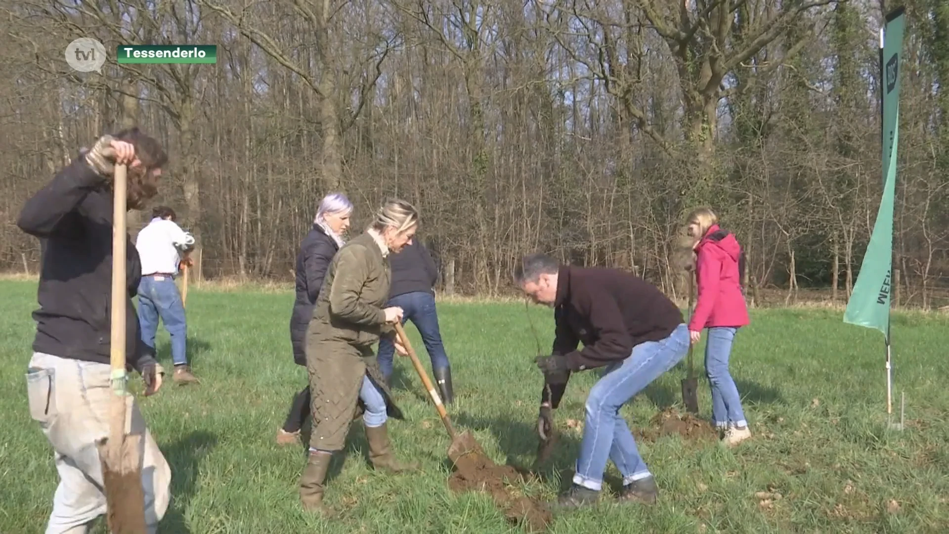 Natte grond blijkt probleem bij boomplantactie Tessenderlo