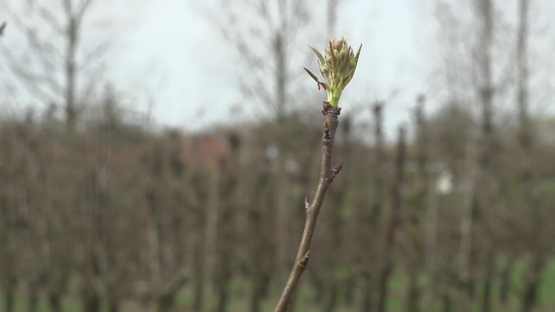 Hasselts beleidskader rond trage wegen botst op verzet