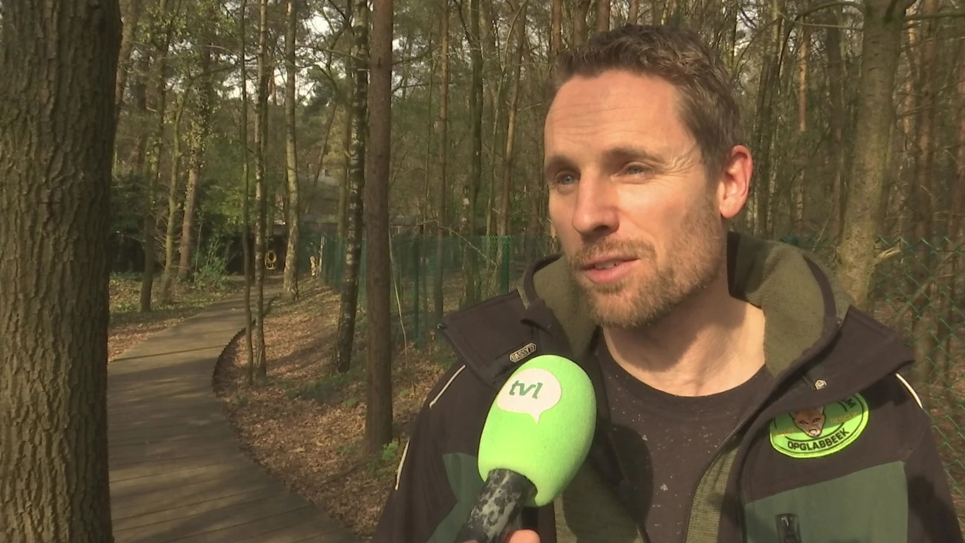 Natuurhulpcentrum over kat in boom: "Geen onnodige stress bezorgen"