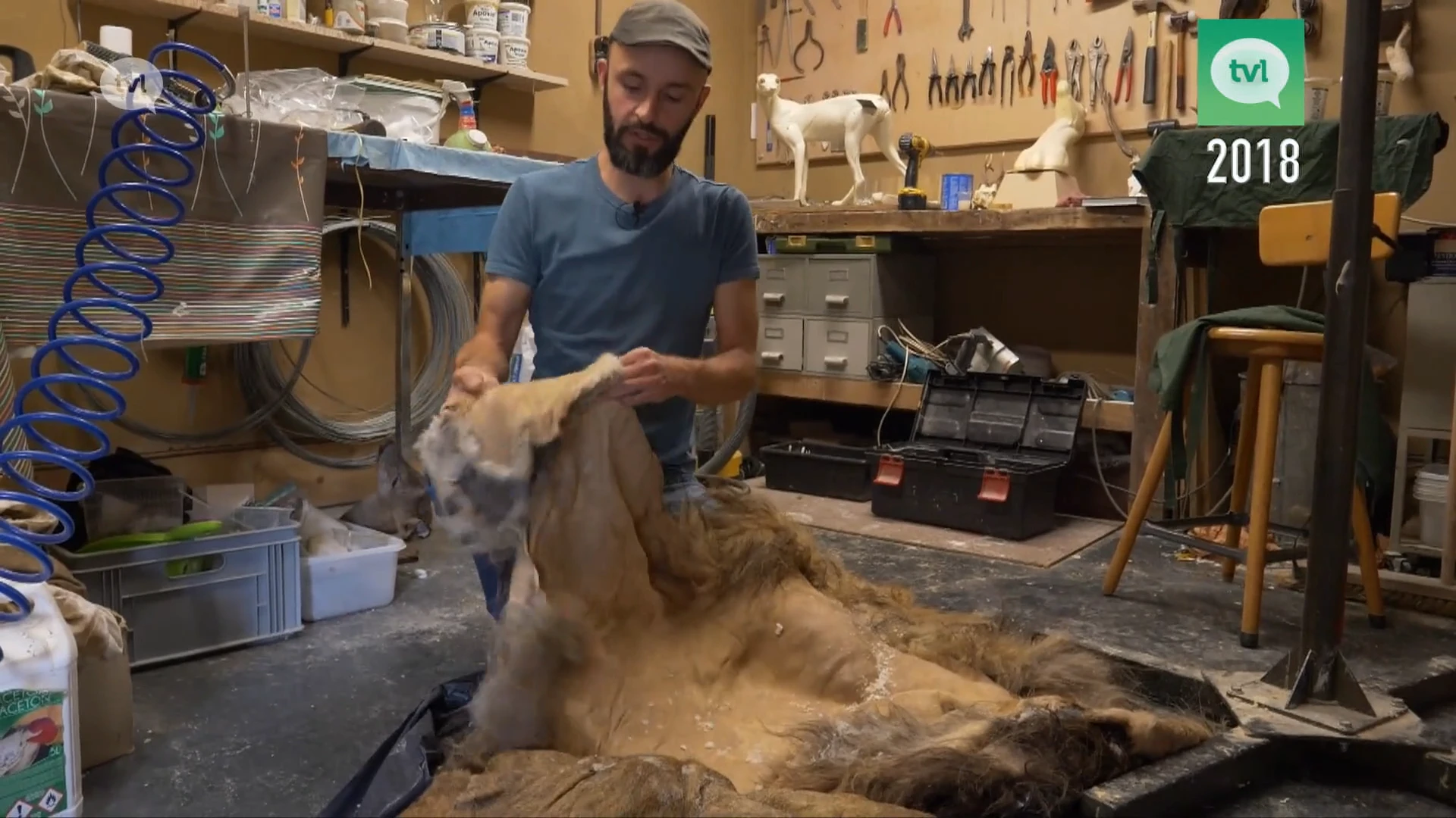 30 jaar TVL: Robbie Robben taxidermist