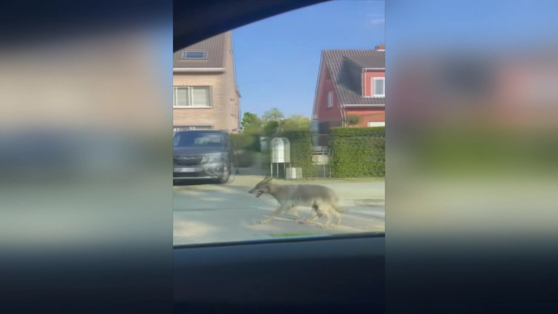 TVL Nieuws, 10 mei 2024