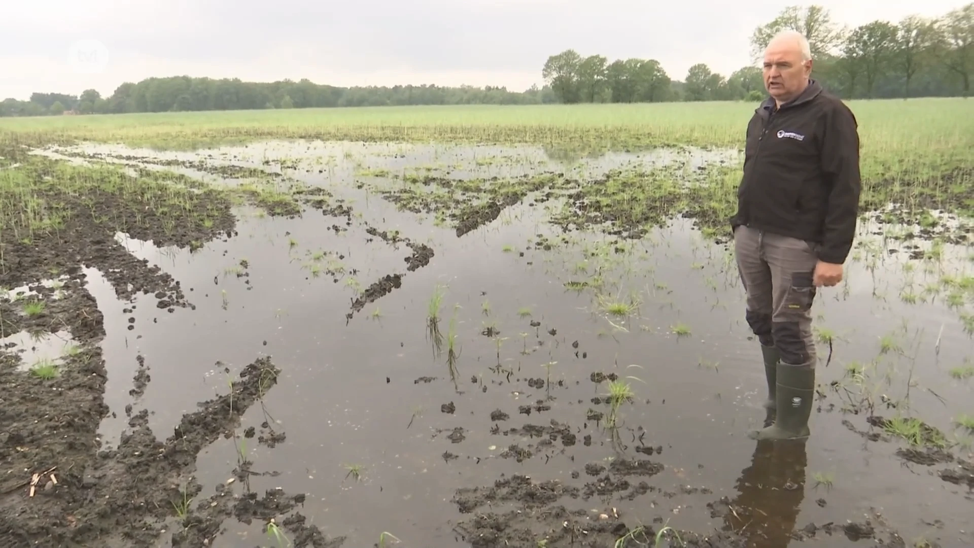 Boeren vrezen voor slechte oogst door het natte weer