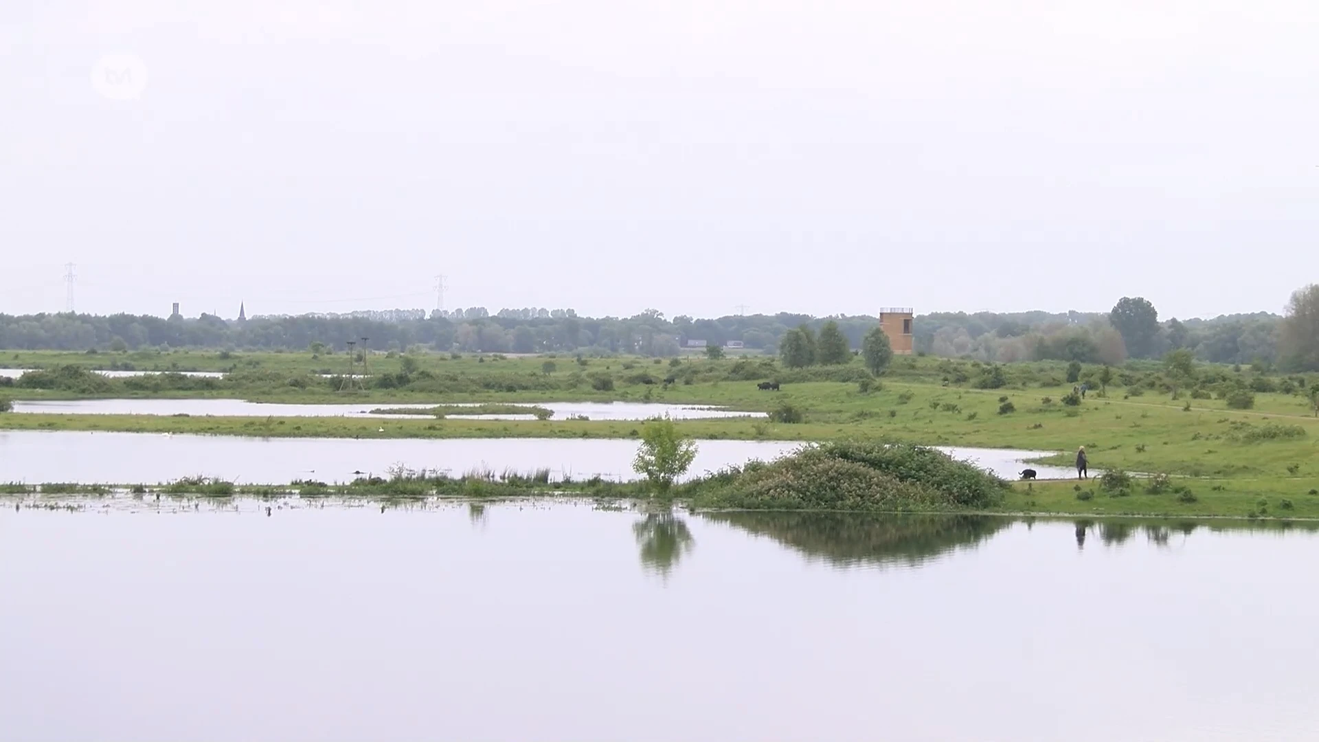 Veerponten uit de Maas gehaald door gestegen waterpeil