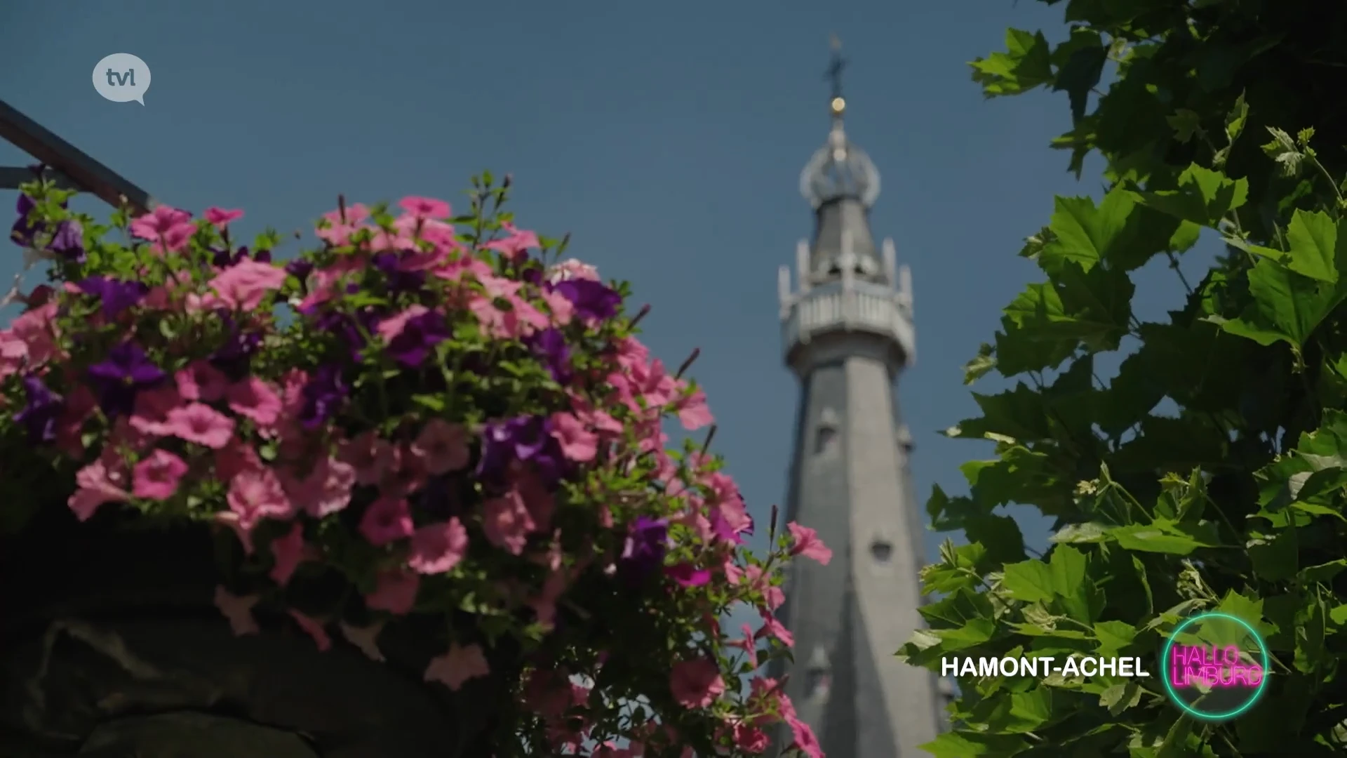 HALLO Hamont - Achel: Bebloemingsactie
