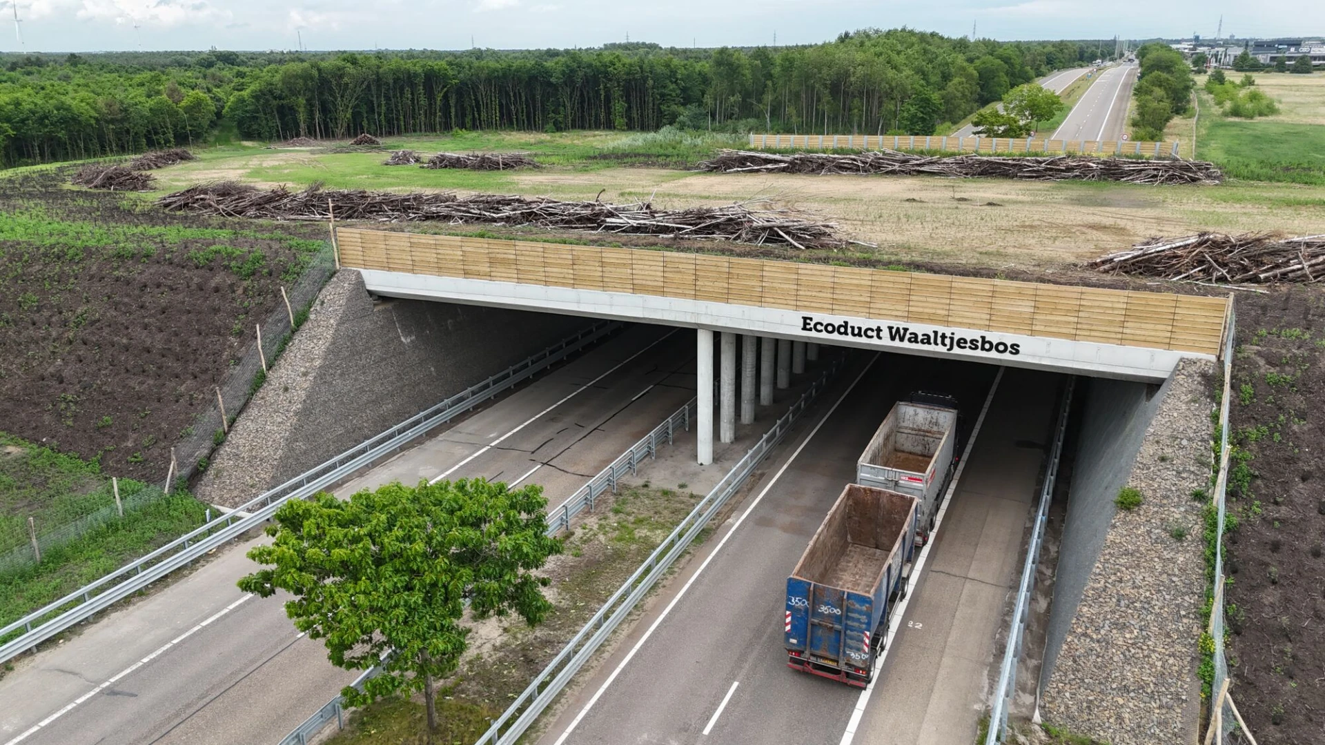 Ecoduct Waaltjesbos opent aan Nationaal Park Bosland