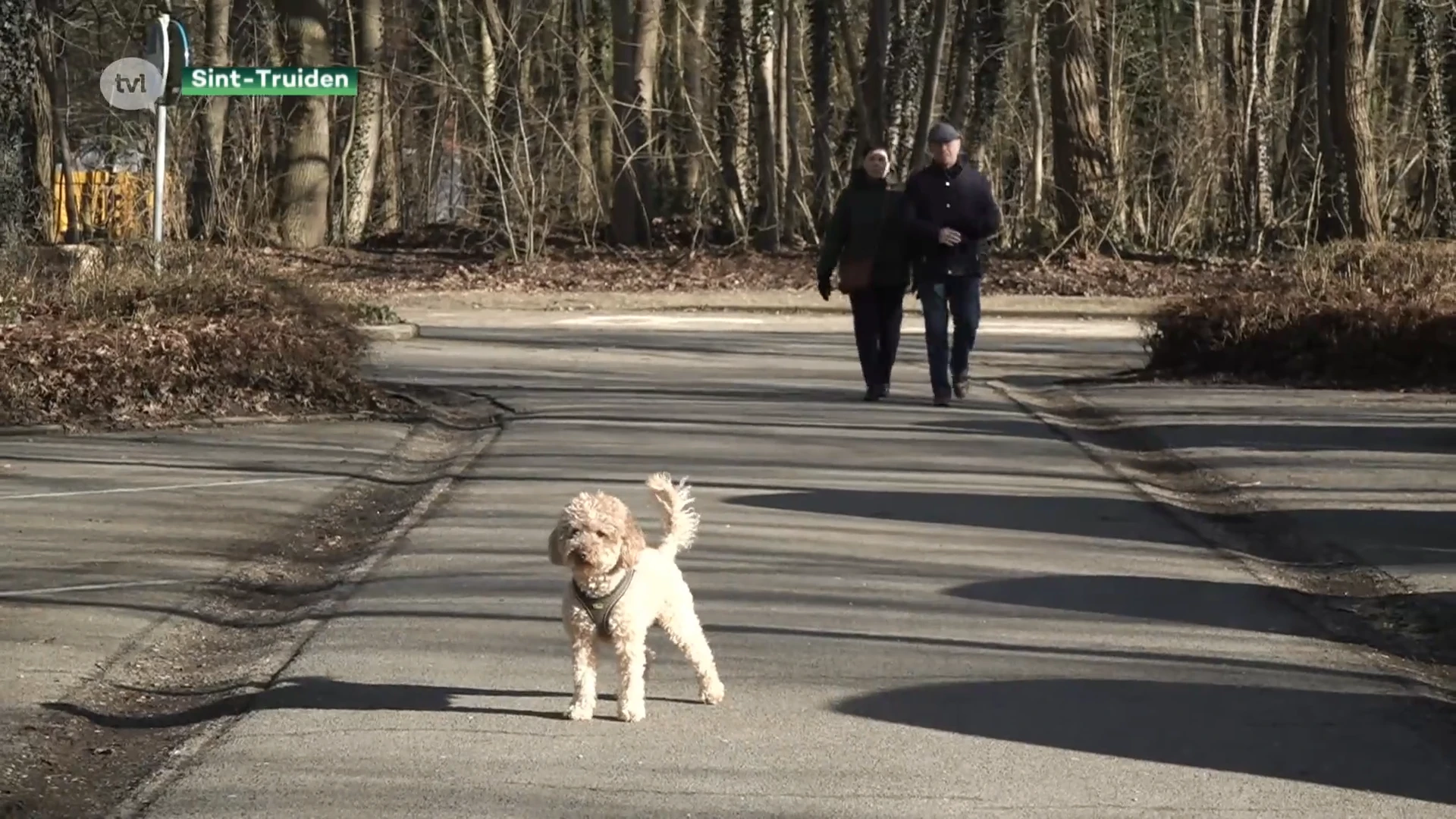 Truiense politie zal strenger controleren op loslopende honden