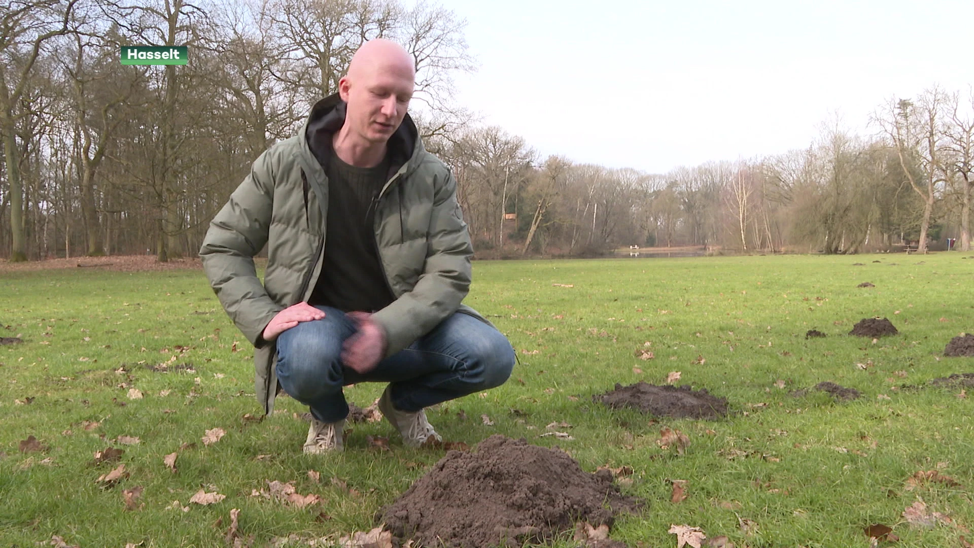 Meer én grotere molshopen door hoge grondwaterstand