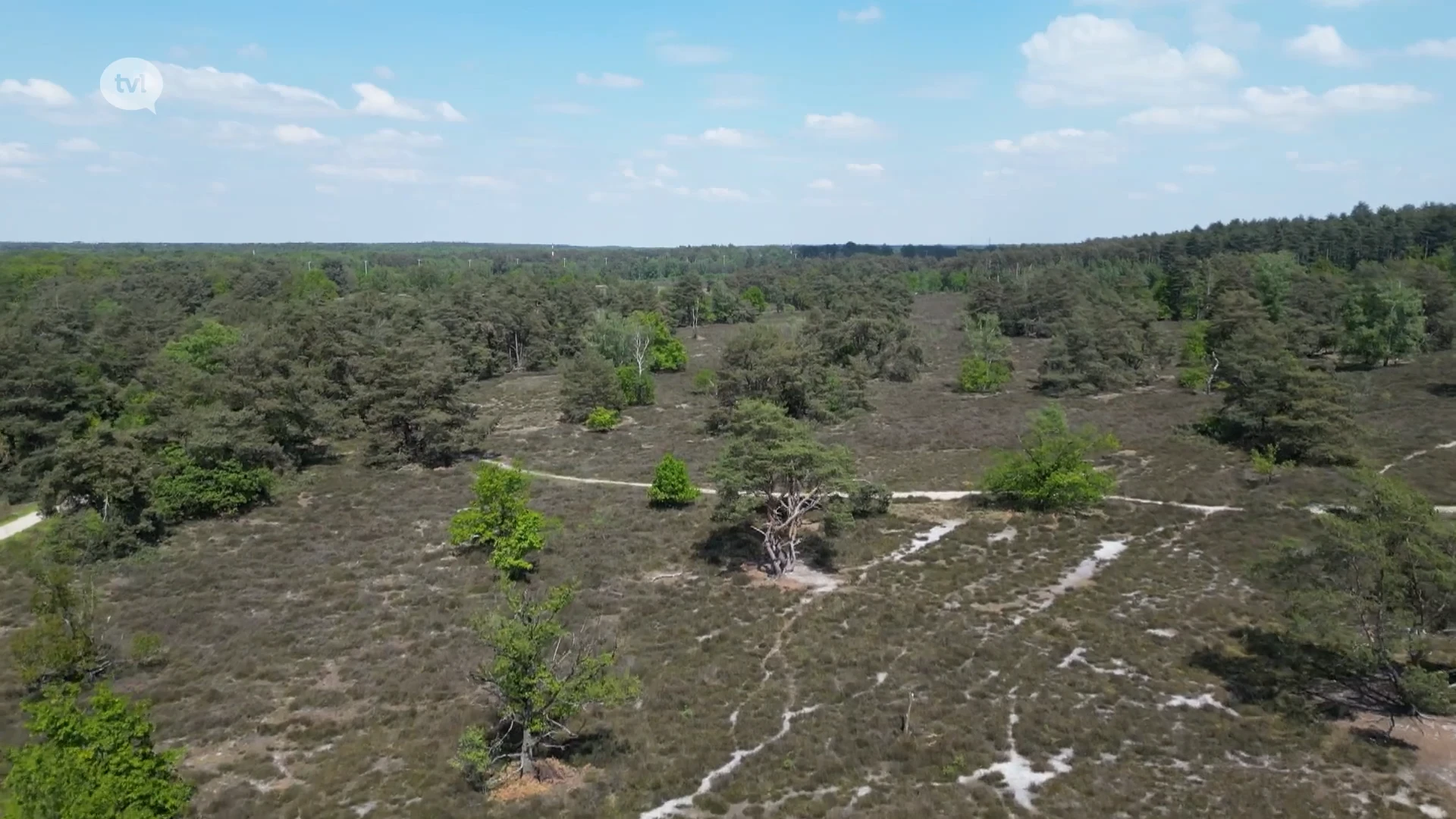 Code oranje voor brandgevaar in Limburgse natuur