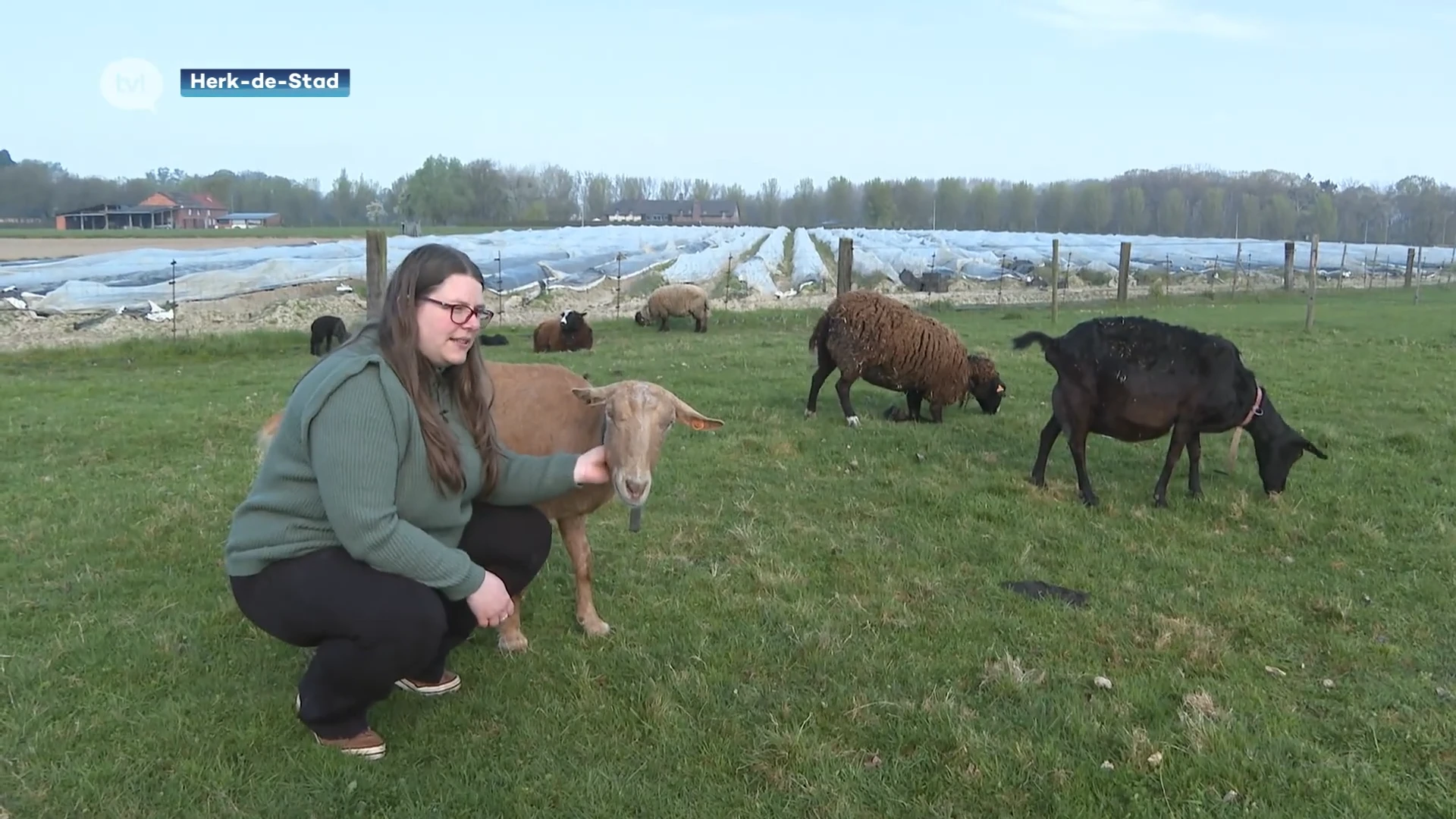 Vachtwacht uit Herk-de-Stad is babysit voor dieren die niet op pension kunnen