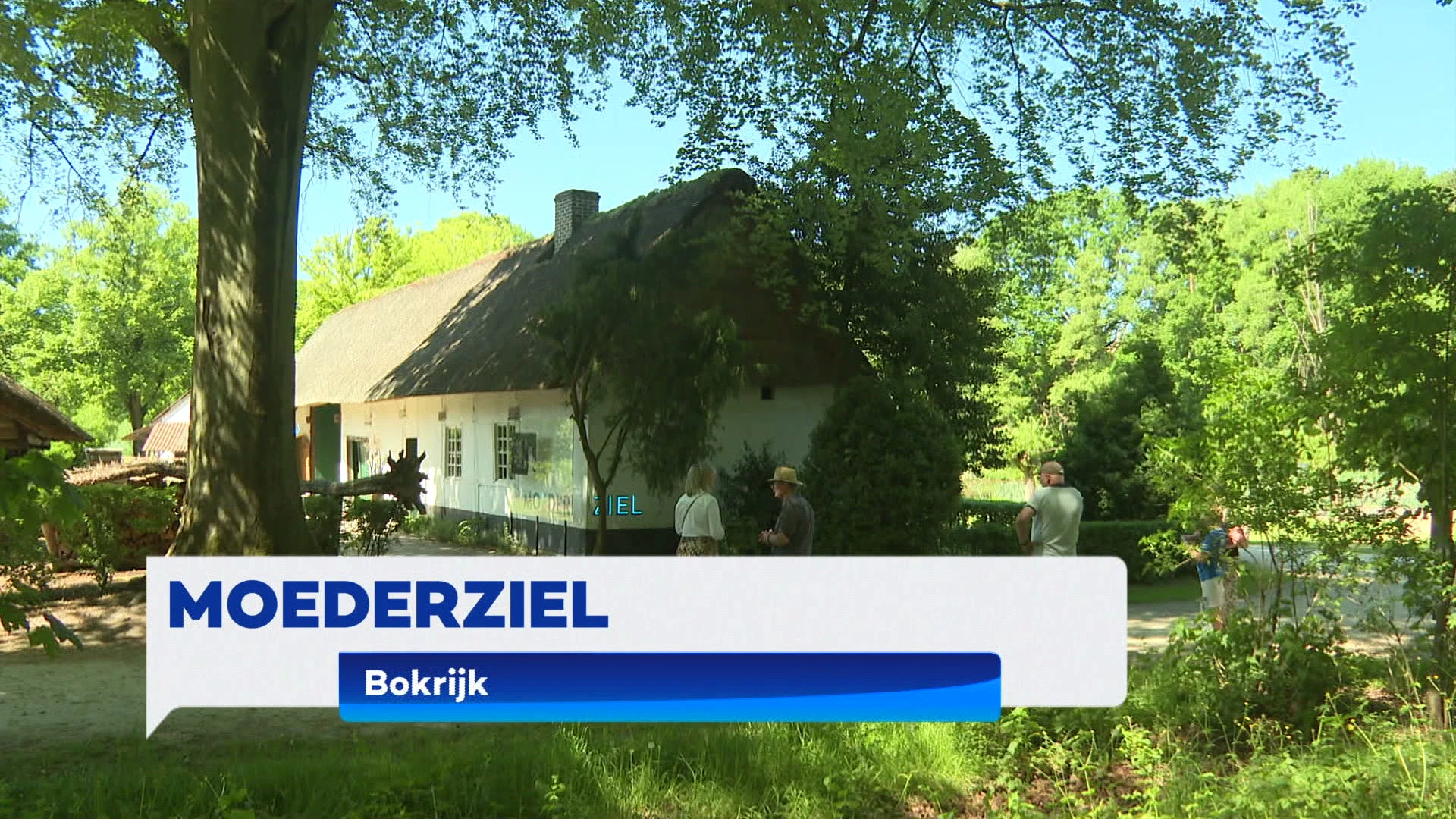 TVL Nieuws, 11 mei 2025