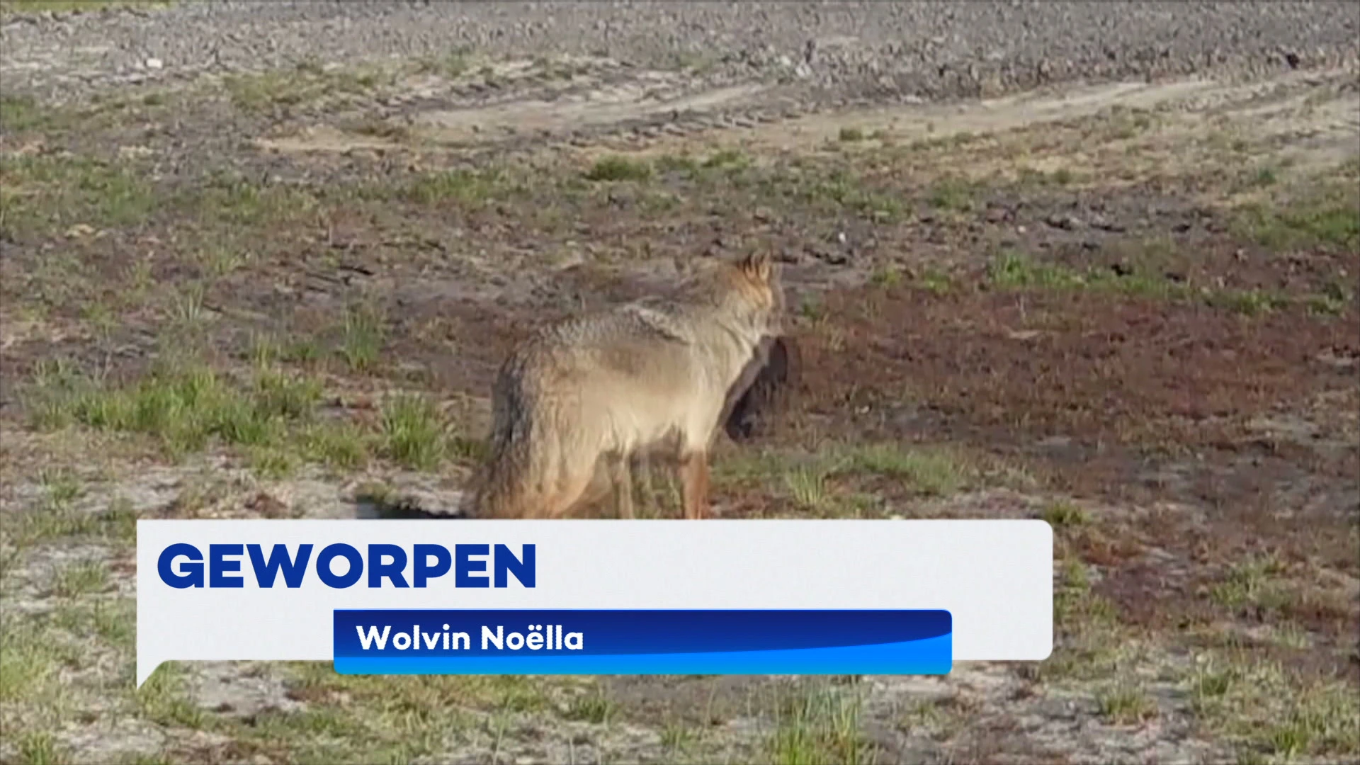 TVL Nieuws, 26 mei 2025