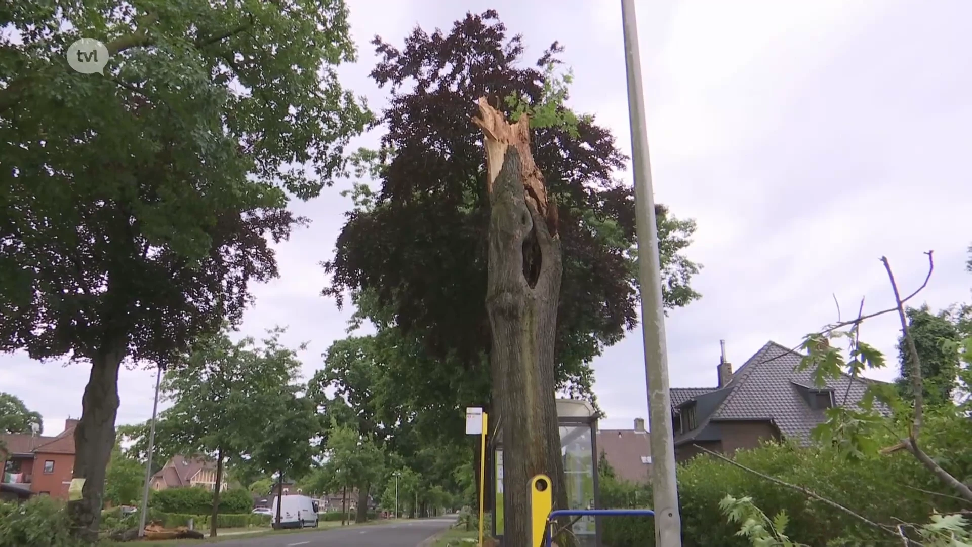 Boom belandt op wagen bij noodweer in Maasmechelen