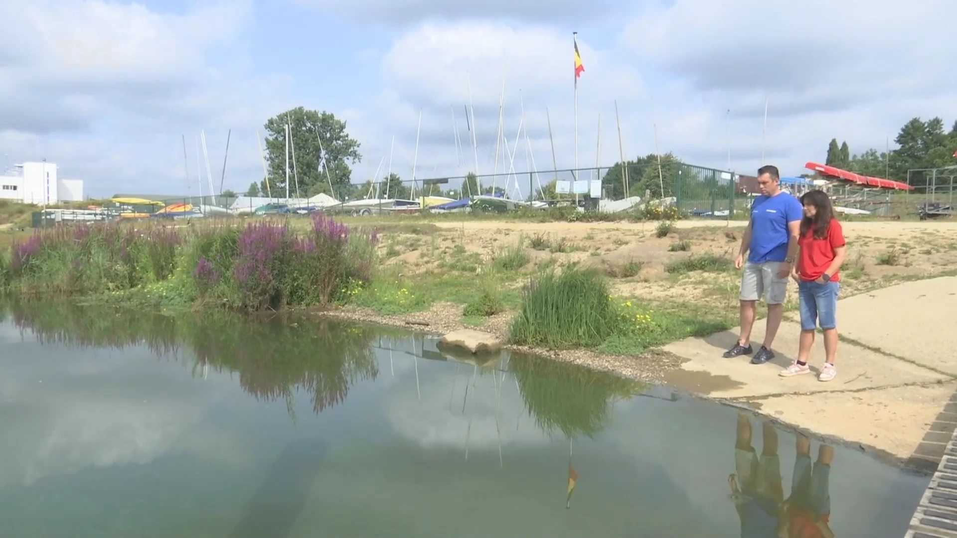 Blauwalgen verpesten elke zomer op Schulensmeer, surfclub weet oplossing