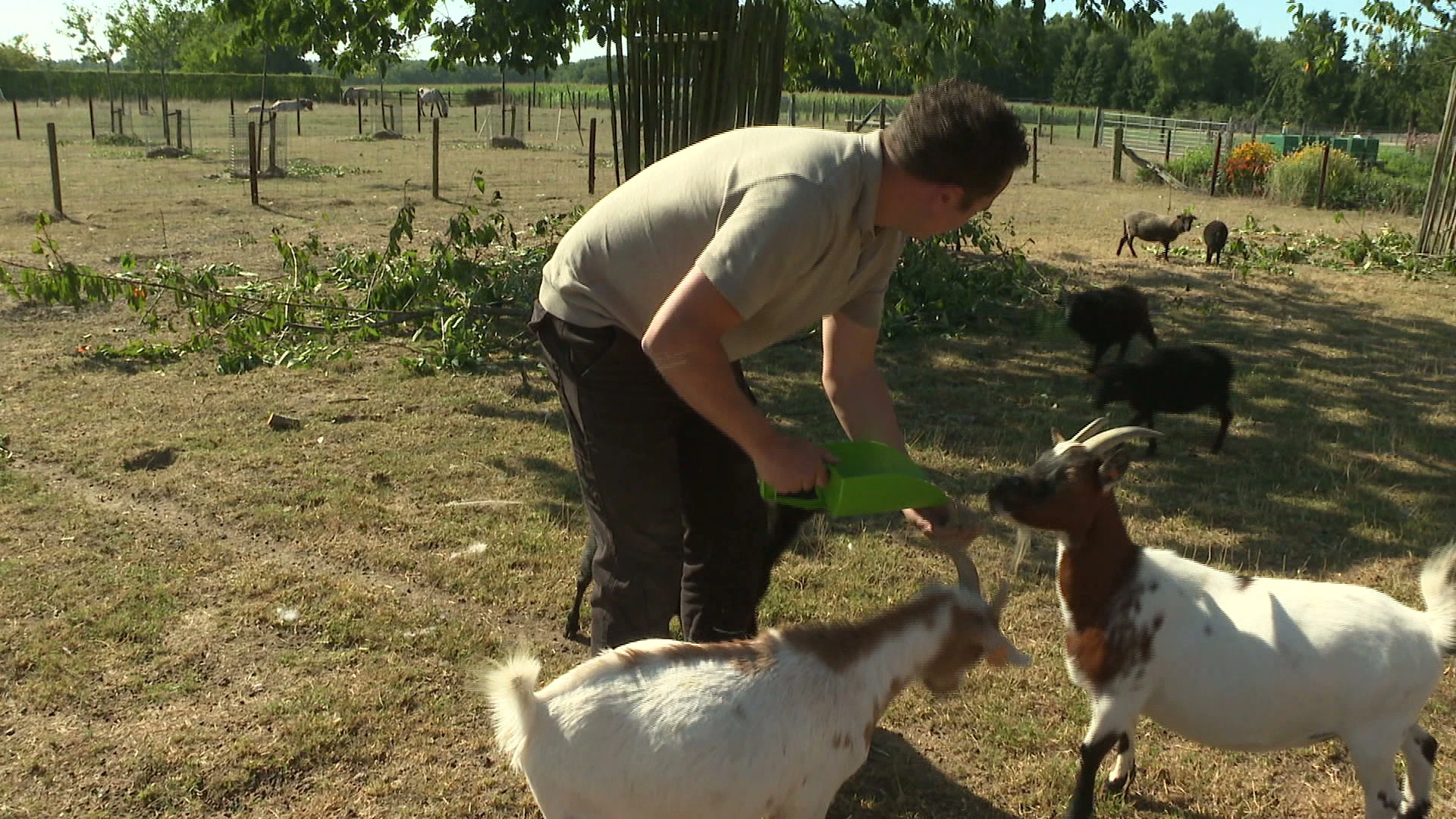 TVL Nieuws, 21 augustus 2025