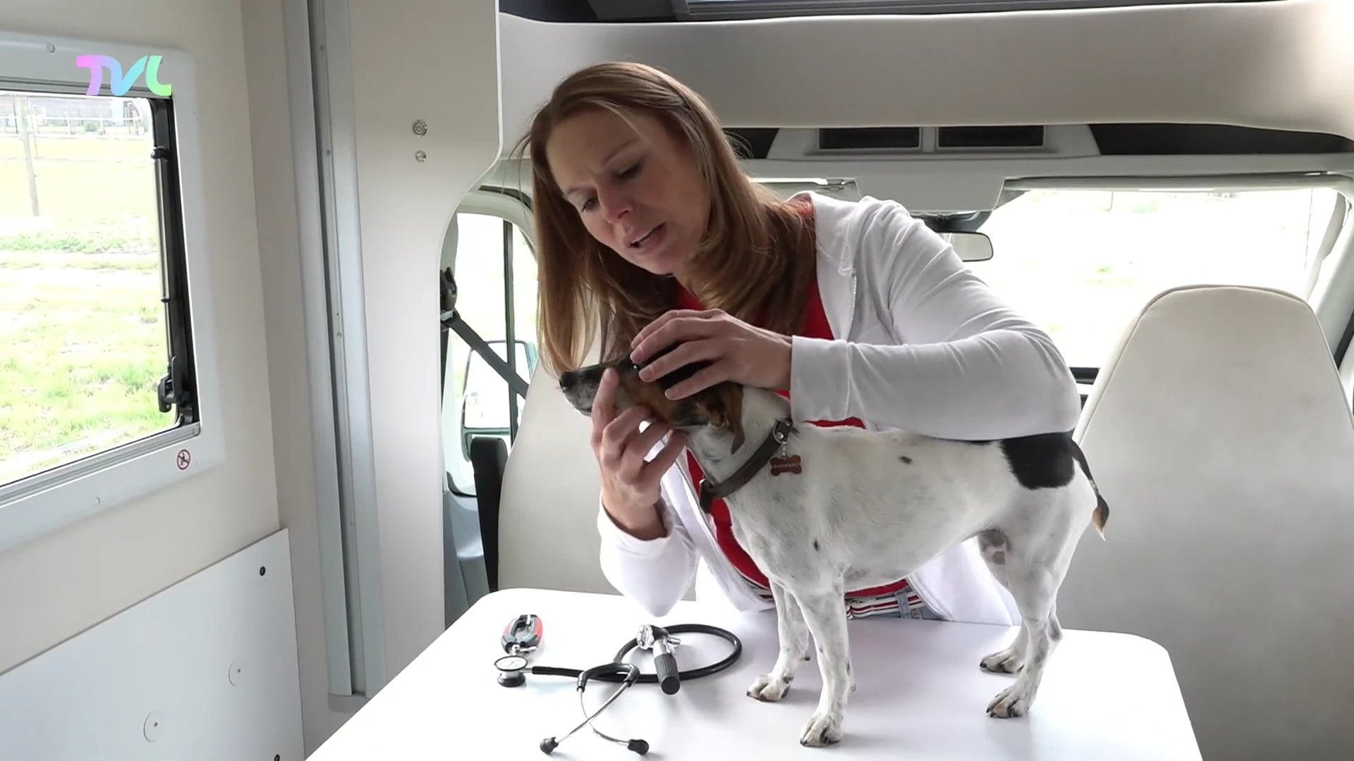 Lotte Postelmans bouwt mobilhome om tot mobiele dierenartsenpraktijk
