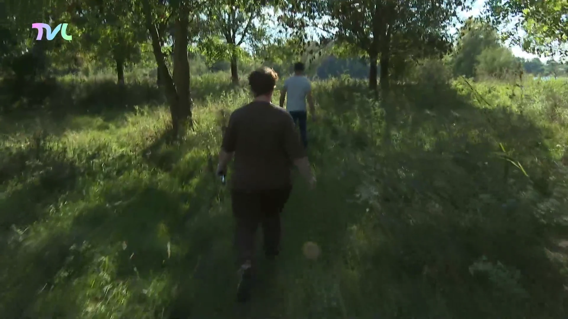 Cowboys helpen met natuurbeheer in Maasmechelen