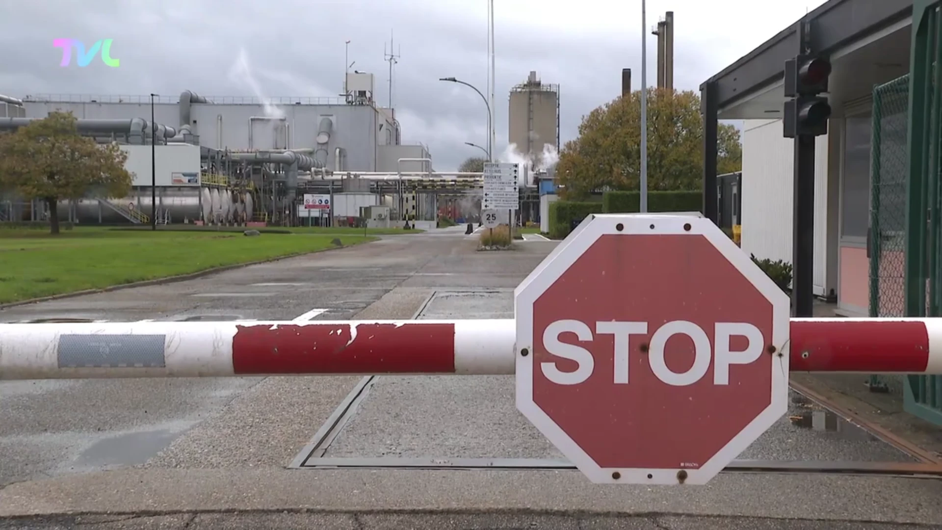 Hoofdafbeelding voor artikel Zuhal Demir: "Economisch toekomst…