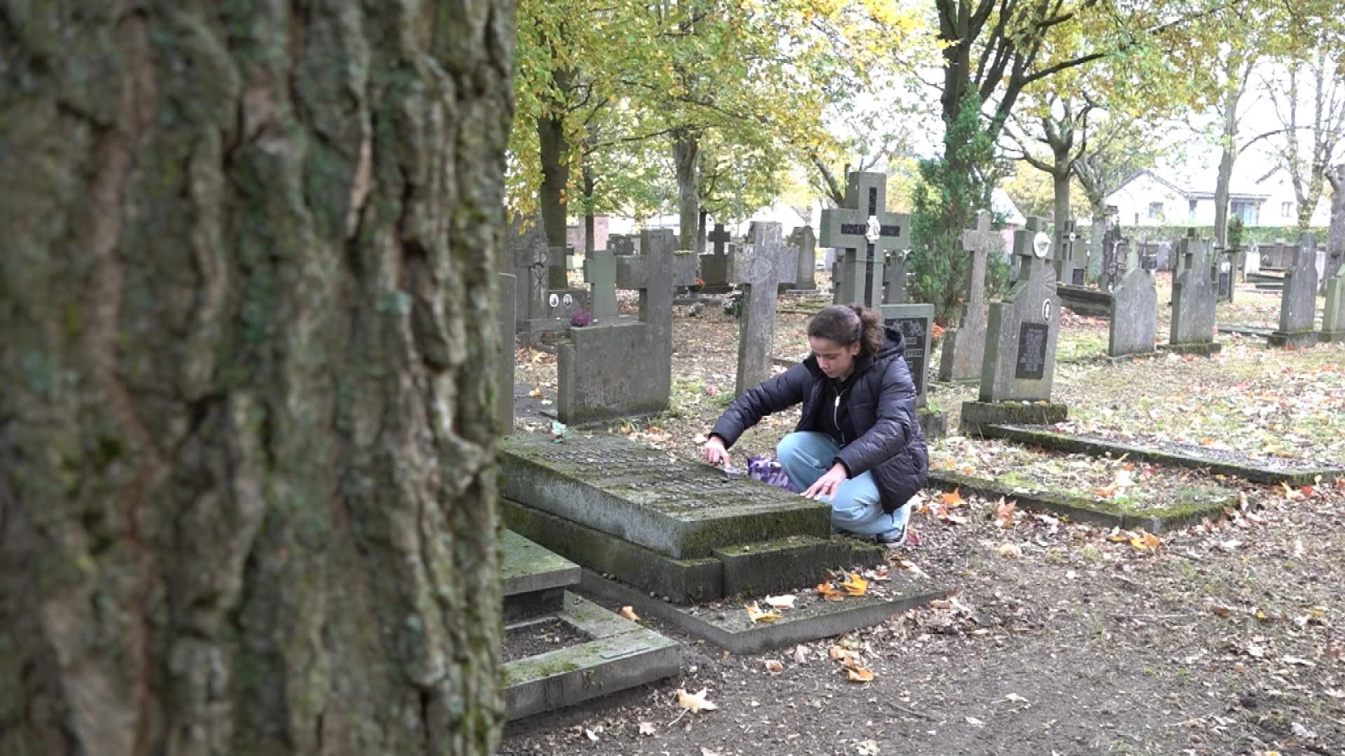 Hoofdafbeelding voor artikel Lily (11) poetst vrijwillig…